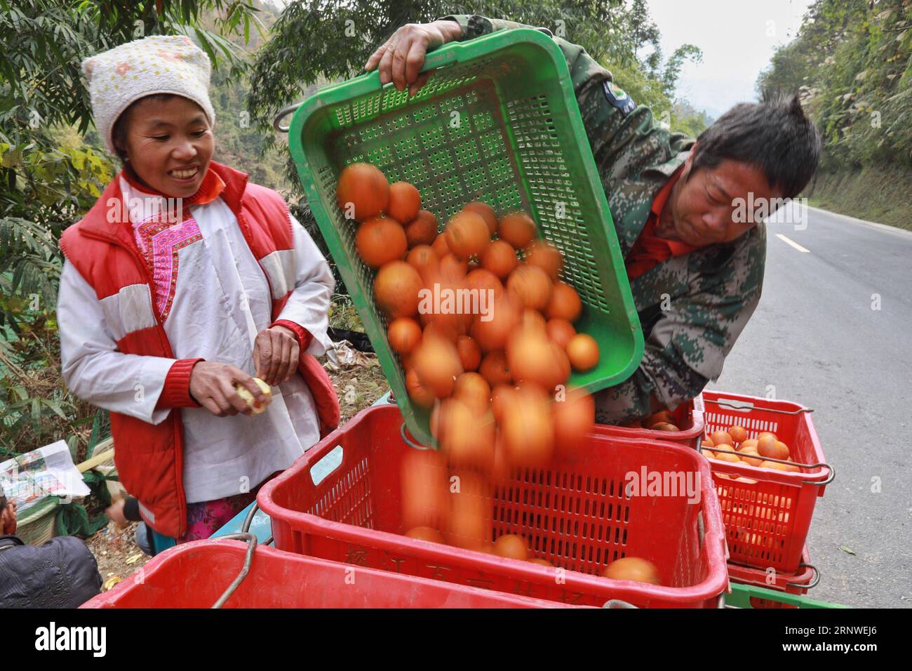 (171217) -- RONGJIANG, 17. Dezember 2017 -- Dorfbewohner übertragen frisch geerntete Nabelorangen in Rongjiang County Miao-Dong Autonome Präfektur Qiandongnan, Provinz Guizhou im Südwesten Chinas, 17. Dezember 2017. ) (wf) CHINA-GUIZHOU-ORANGES-HARVEST (CN) LiuxXu PUBLICATIONxNOTxINxCHN Stockfoto