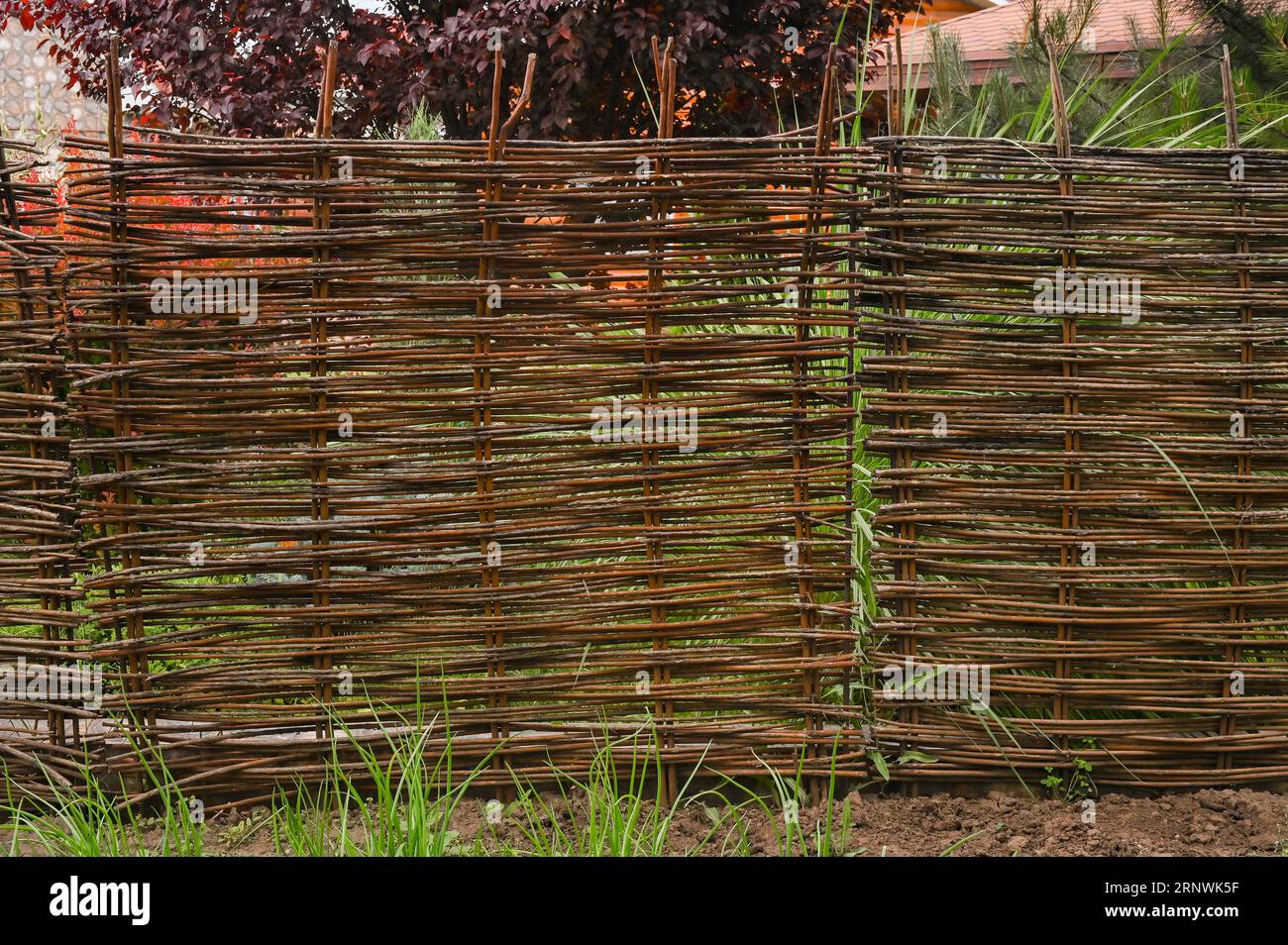 Hölzerner Hintergrund aus gewebten Zweigen. Umweltfreundliche Einrichtung. Stockfoto
