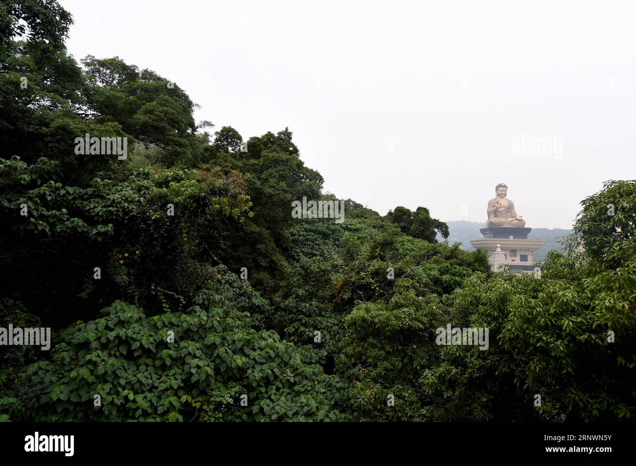 (171226) -- KAOHSIUNG, 26. Dezember 2017 -- Eine Buddha-Statue wird in der Buddha-Gedenkhalle auf dem Mount Foguangshan in Kaohsiung, Taiwan im Südosten Chinas, gesehen. ) (Ry) CHINA-KAOHSIUNG-FOGUANGSHAN MOUNTAIN (CN) YuexYuewei PUBLICATIONxNOTxINxCHN Stockfoto