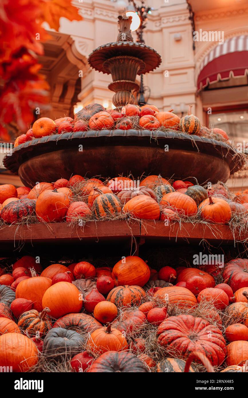 Viele knallorange Kürbisse auf Heu. Stillleben-Zusammensetzung ernten. Alles Gute Zum Thanksgiving. Vertikaler herbstlicher Hintergrund Stockfoto
