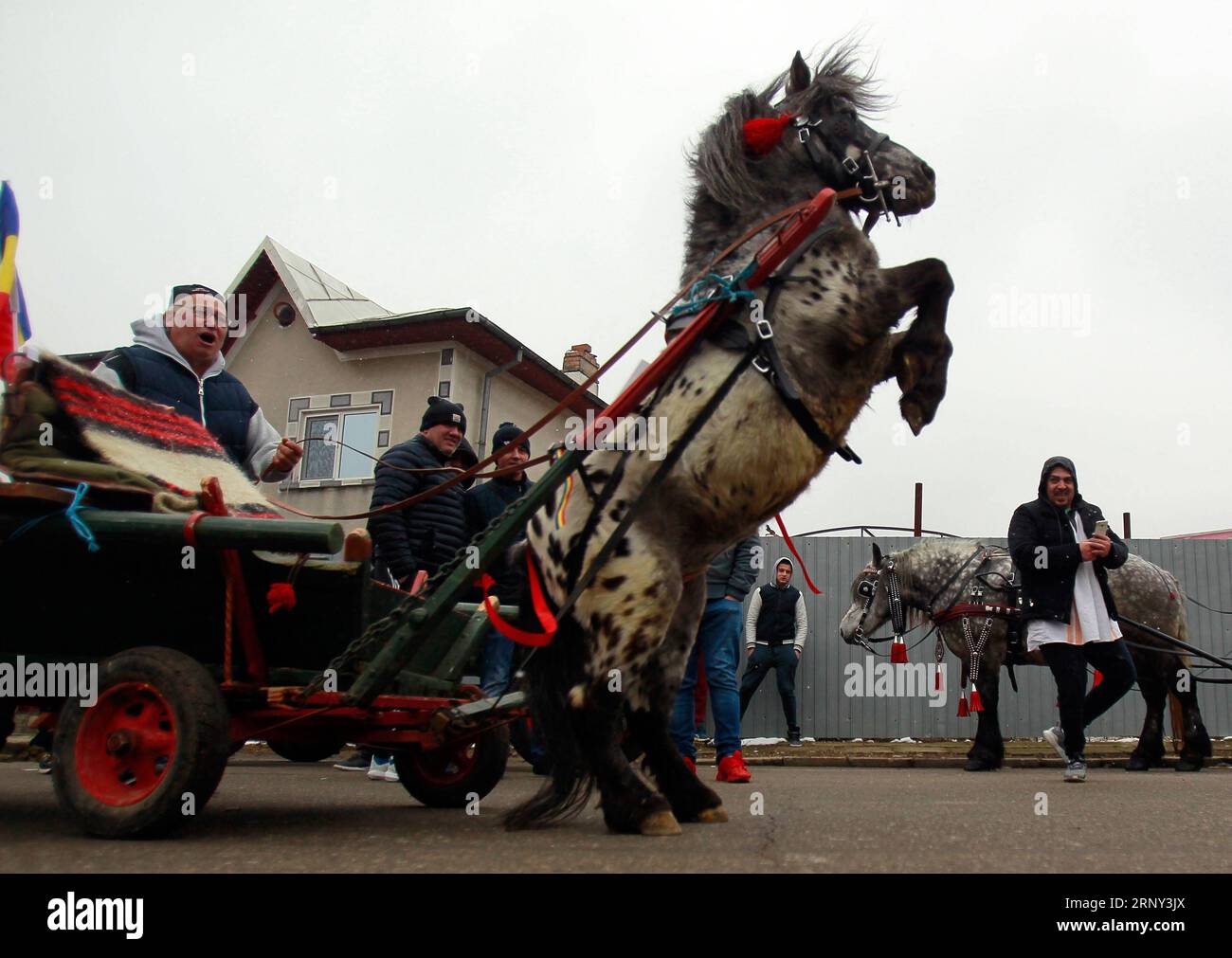 (180225) -- BUKAREST, 25. Februar 2018 -- Mitglieder der bulgarischen Gemeinde nehmen an der Feier des traditionellen Feiertags von Todorov den, auch bekannt als PferdeOstern, in Targoviste, etwa 75 km nördlich von Bukarest, Rumäniens Hauptstadt, am 24. Februar 2018 Teil. Das Osterpferd feiert den Beginn der Frühjahrsarbeiten in der Landwirtschaft. ) (yk) RUMÄNIEN-TARGOVISTE-PFERD OSTERN CristianxCristel PUBLICATIONxNOTxINxCHN Stockfoto