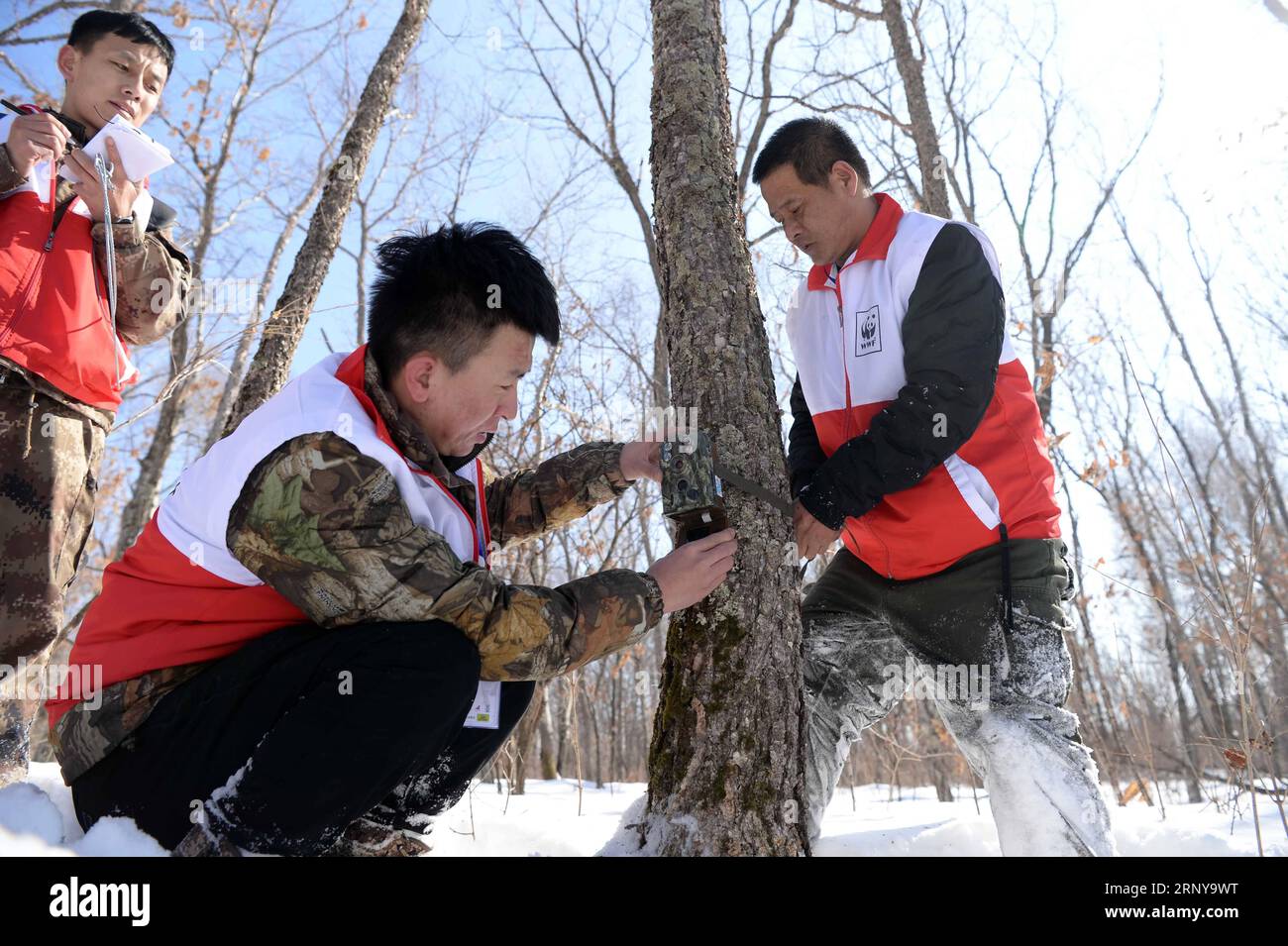 (180306) -- SUIFENHE, 6. März 2018 -- Tiger Conservation Experts richtete eine Infrarotkamera während eines sibirischen Tiger Conservation Skills Contest in Suifenhe, nordöstliche chinesische Provinz Heilongjiang, 5. März 2018 ein. Zwanzig Tiger-Schutzteams aus China und Russland hatten an diesem Wettbewerb teilgenommen, unter anderem bei der Strafverfolgung von Wildtieren, der Fallenräumung, dem Einrichten und Debuggen von Infrarotkameras sowie der Aufzeichnung der Lebensraumumgebung. ) (lmm) CHINA-HEILONGJIANG-WILDTIER-SIBIRISCHE TIGER-ERHALTUNG (CN) WangxKai PUBLICATIONxNOTxINxCHN Stockfoto