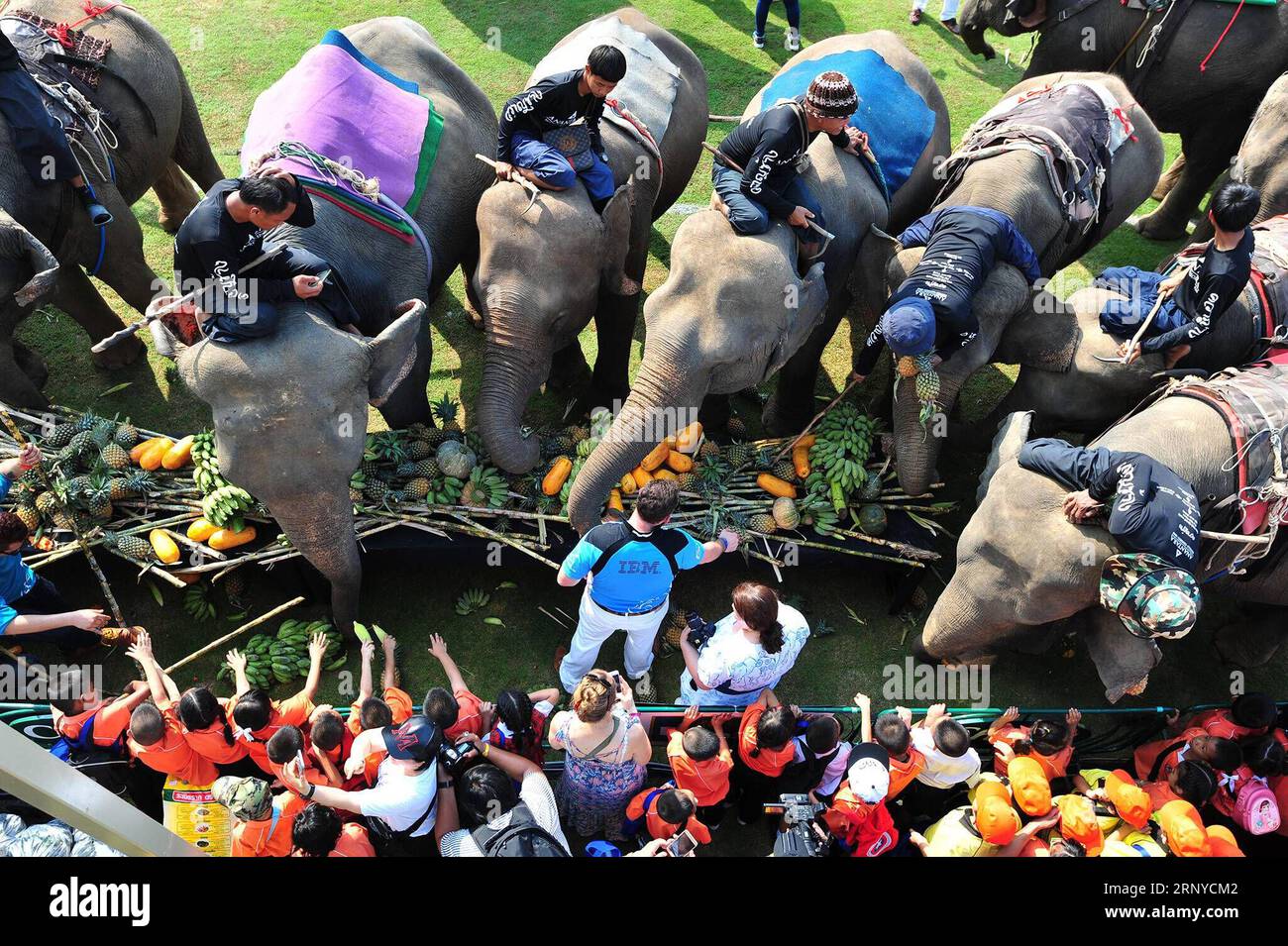 (180311) -- PEKING, 11. März 2018 -- Menschen füttern Elefanten vor einem Spiel des 16. King s Cup Elephant Polo Tournament in Bangkok, Thailand am 8. März 2018. ) RachenxSageamsak PUBLICATIONxNOTxINxCHN Stockfoto