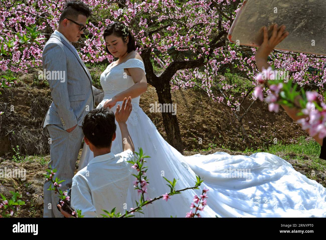 (180330) -- TONGLU, 30. März 2018 -- Ein Fotograf erzählt einem neuen Paar, wie man bei einer Hochzeitszeremonie im Dorf Yangshanfan der Gemeinde Hengcun im Tonglu County, ostchinesische Provinz Zhejiang, am 29. März 2018 posiert. Viele neue Paare veranstalten hier am Donnerstag Hochzeitszeremonien im 3.000 mu (200 ha) Pfirsichwald. ) (Yxb) CHINA-ZHEJIANG-WEDDING-PFIRSICHWALD(CN) TanxJin PUBLICATIONXNOTXINXCHN Stockfoto