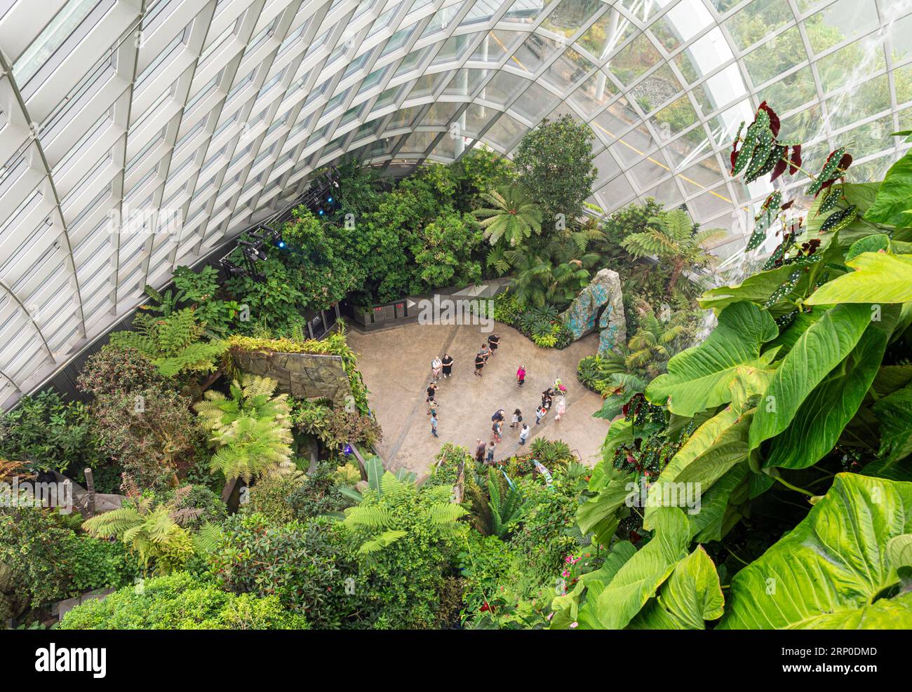 Blick hinunter zum Eingang des Cloud Forest Conservatory, Gardens by the Bay, Singapur Stockfoto
