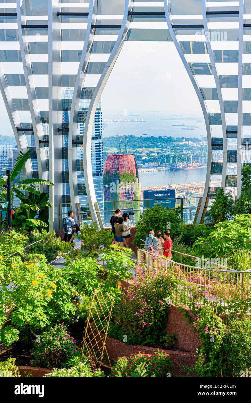 Blick auf den CBD in Richtung Singapur Straße vom Dachgarten auf der 51. Etage in einem biophilen CapitaSpring Gebäude in Singapur Stockfoto