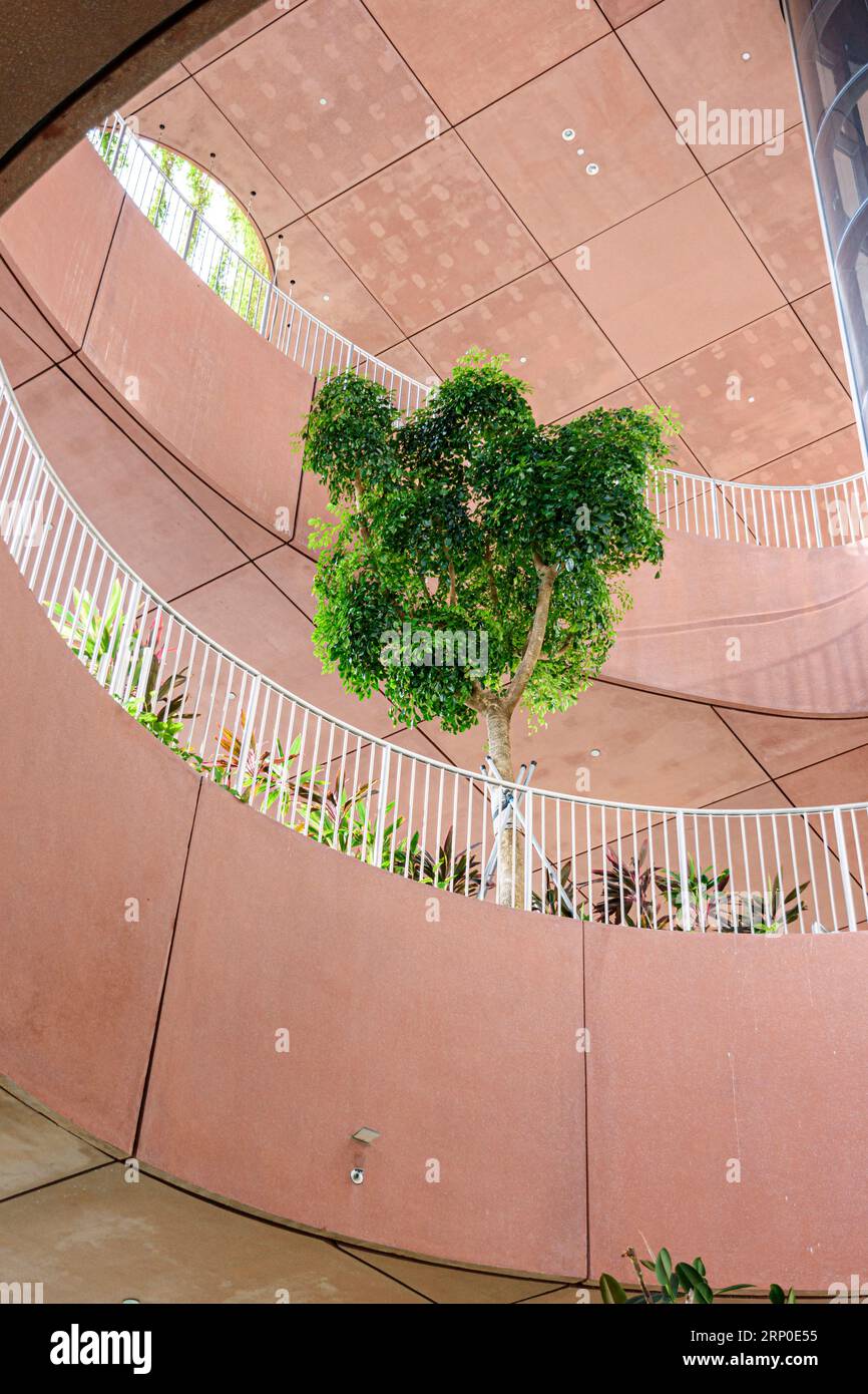 Einsamer Baum im Green Oasis Hochhausgarten auf den Etagen 17 bis 20 im umweltfreundlichen grünen Gebäude, CapitaSpring, 88 Market Street, Singapur Stockfoto