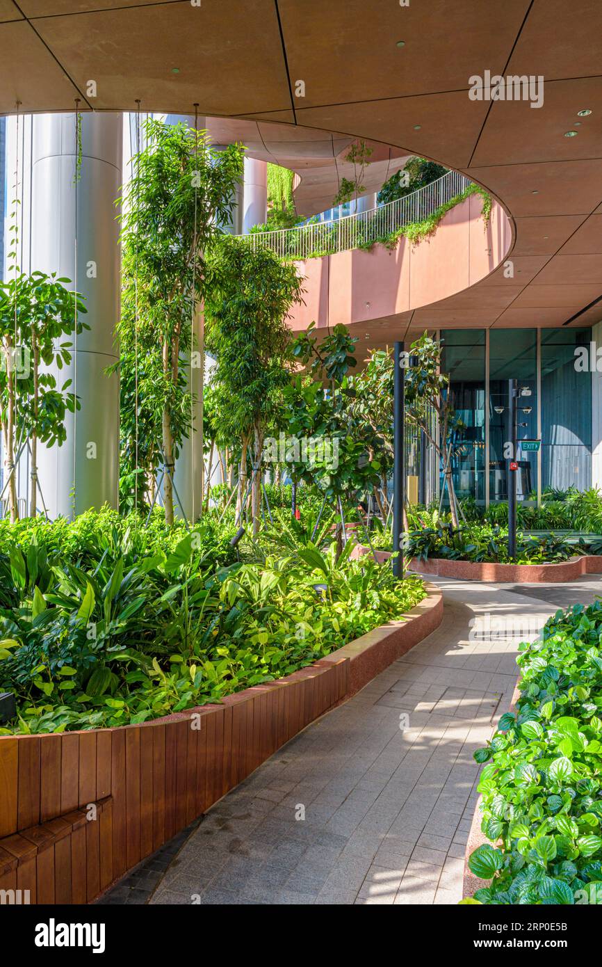 Der Hochhausgarten Green Oasis auf den Etagen 17 bis 20 befindet sich im umweltfreundlichen, grünen Gebäude CapitaSpring, 88 Market Street, Singapur Stockfoto