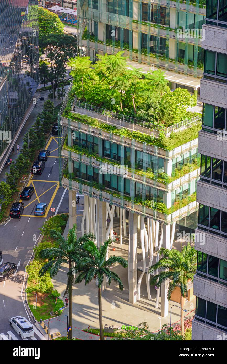 Einige der unteren Hochhausgärten des CapitaGreen-Gebäudes an der 138 Market Street, Singapur Stockfoto