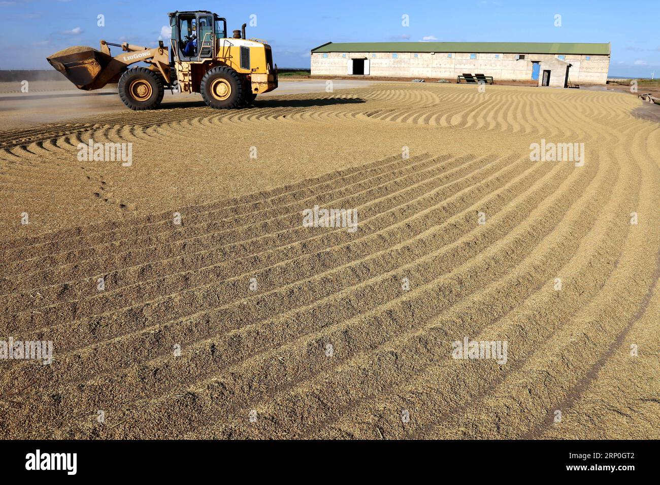 (180514) -- GAZA (MOSAMBIK), 14. Mai 2018 () -- Foto aufgenommen am 4. April 2018 zeigt den Getreidegrund der Reisfarm Wanbao in der Provinz Gaza, Mosambik. Die Reisfarm Wanbao Mosambik, die vom China-Afrika-Entwicklungsfonds investiert wird, ist die größte ihrer Art, die China in Afrika betreibt. Das Projekt, ein umfassendes Unternehmen, das Plantagen, Lagerung, Verarbeitung und Verkauf umfasst, zielt auf die Entwicklung von 20.000 Hektar Ackerland ab und wird Landwirte in den umliegenden Gebieten dazu bringen, über weitere 80.000 Hektar Getreide anzubauen. () (sxk) MOSAMBIK-GAZA-CHINA-LANDWIRTSCHAFTSPROJEKT Xinhua PUBLICATIONxN Stockfoto