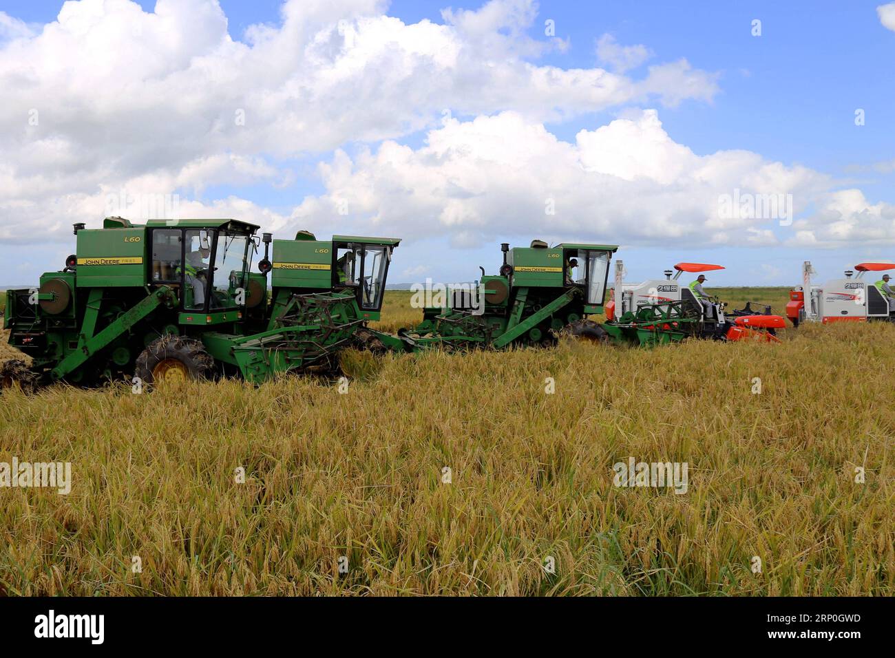 (180514) -- GAZA (MOSAMBIK), 14. Mai 2018 () -- Erntemacher arbeiten auf dem Reisfeld der Reisfarm Wanbao in der Provinz Gaza, Mosambik, 4. April 2018. Die Reisfarm Wanbao Mosambik, die vom China-Afrika-Entwicklungsfonds investiert wird, ist die größte ihrer Art, die China in Afrika betreibt. Das Projekt, ein umfassendes Unternehmen, das Plantagen, Lagerung, Verarbeitung und Verkauf umfasst, zielt auf die Entwicklung von 20.000 Hektar Ackerland ab und wird Landwirte in den umliegenden Gebieten dazu bringen, über weitere 80.000 Hektar Getreide anzubauen. () (sxk) MOSAMBIK-GAZA-CHINA-LANDWIRTSCHAFTSPROJEKT Xinhua PUBLICATIONxNOTxINxCHN Stockfoto