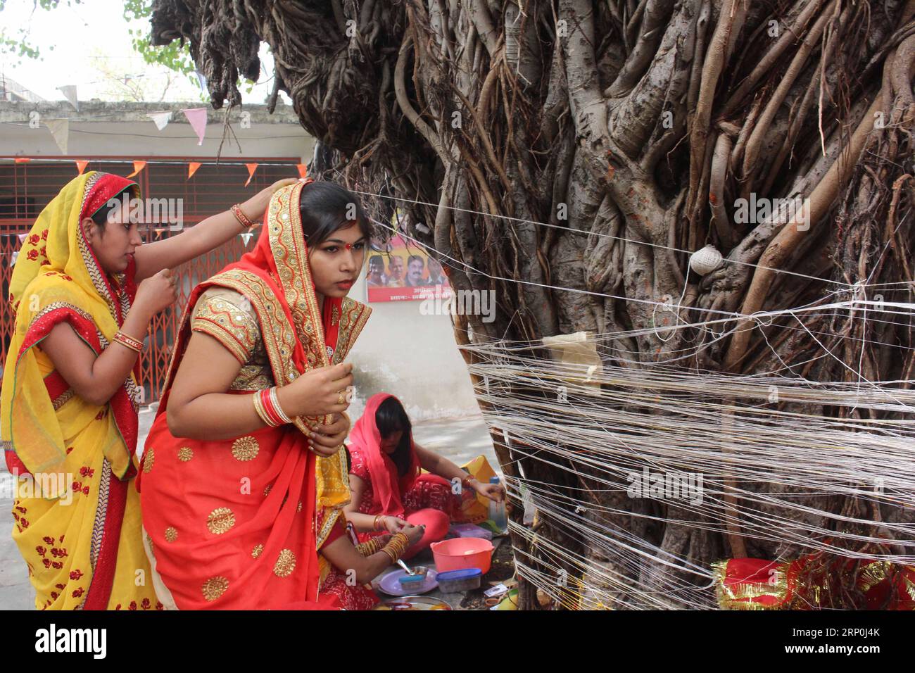 (180516) -- BHOPAL, 16. Mai 2018 -- indische Hindu-verheiratete Frauen führen Rituale um einen Banyanbaum anlässlich des VAT Savitri Festivals in Bhopal im indischen Zentralstaat Madhya Pradesh am 15. Mai 2018 auf. Frauen beten bei dieser Gelegenheit für die Langlebigkeit ihrer Ehemänner. ) (yy) INDIA-BHOPAL-VAT SAVITRI FESTIVAL Stringer PUBLICATIONxNOTxINxCHN Stockfoto