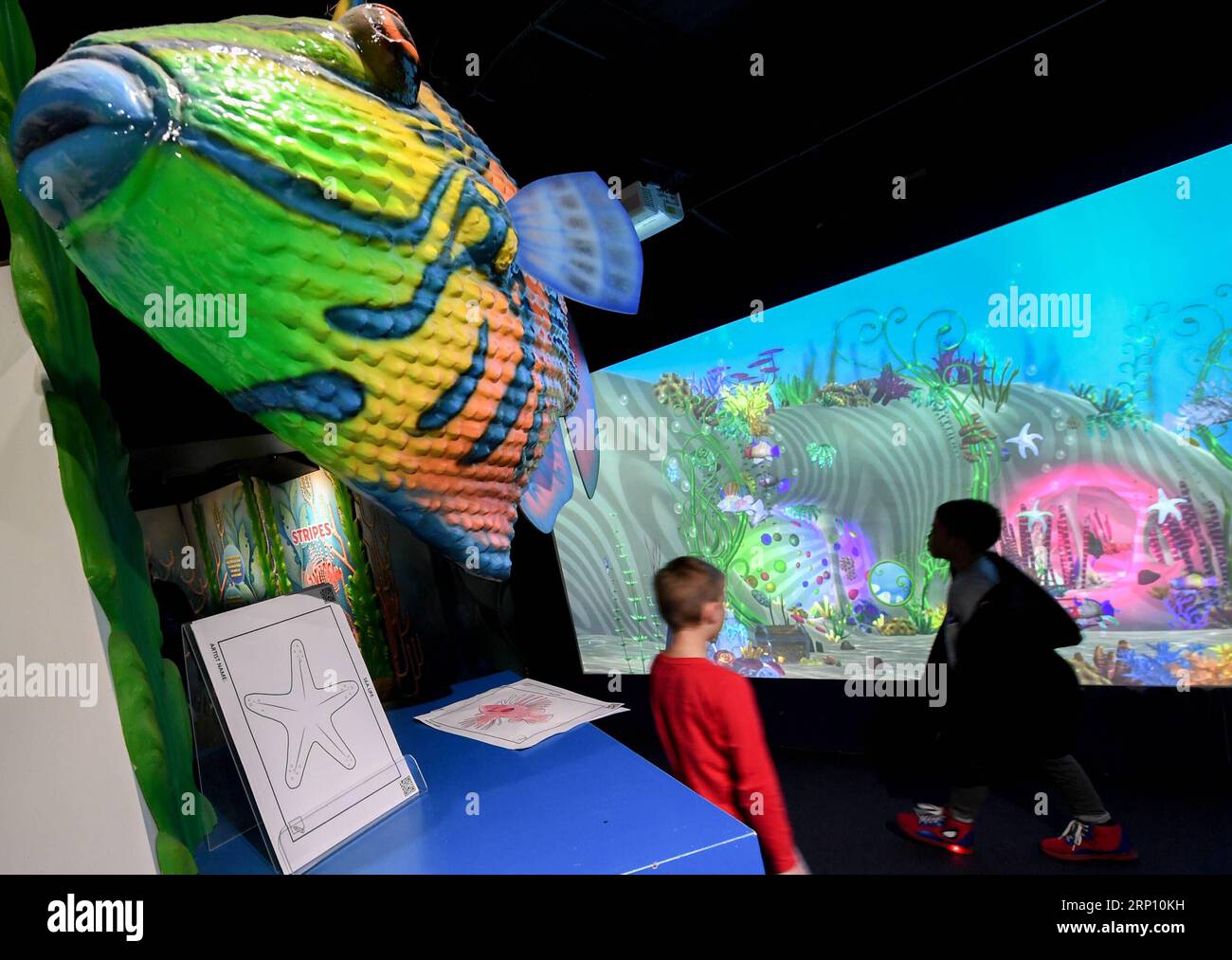 (180601) -- AUCKLAND, 1. Juni 2018 -- Kinder beobachten 3D-Zeichnungen verschiedener Meeresorganismen im Sea Life Aquarium in Auckland, Neuseeland. Juni 2018. Das Aquarium hilft Kindern, über verschiedene Inhalte etwas über die Natur zu lernen und ihr Umweltbewusstsein zu entwickeln.)(yg) NEUSEELAND-AUCKLAND-AQUARIUM-KINDER GuoxLei PUBLICATIONxNOTxINxCHN Stockfoto