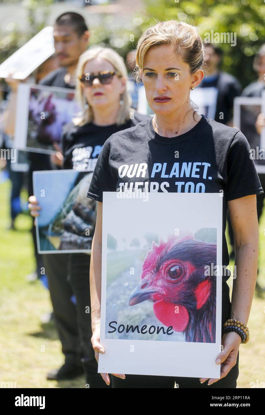 (180604) -- LOS ANGELES, 4. Juni 2018 -- Tierrechtsaktivisten versammeln sich und rezitieren die Erklärung der Tierrechte anlässlich des National Animal Rights Day in Los Angeles, USA, 3. Juni 2018. ) (srb) U.S.-LOS ANGELES-ANIMAL RESERVATION ZhaoxHanrong PUBLICATIONxNOTxINxCHN Stockfoto