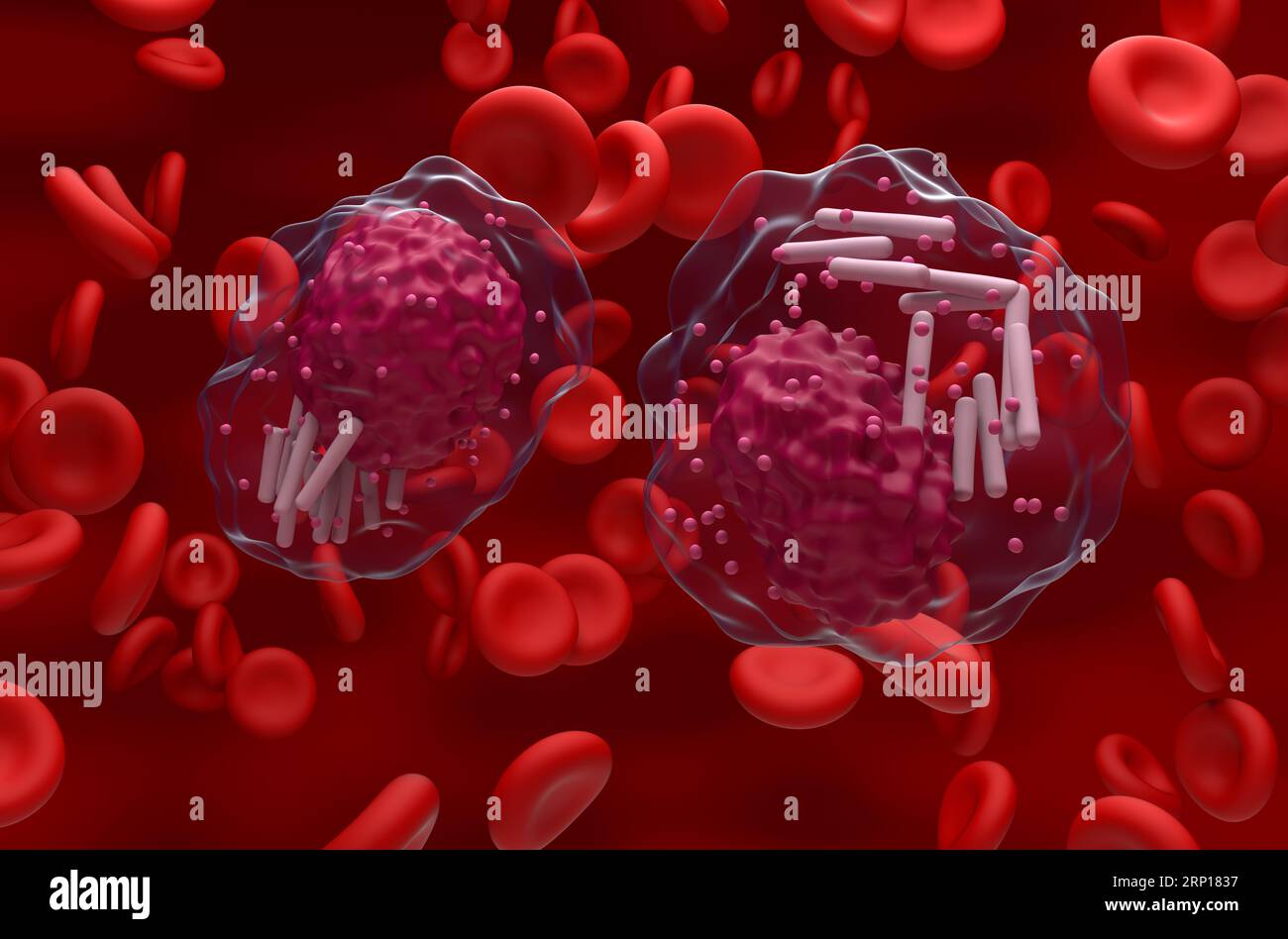 Chronische lymphatische Leukämie (CLL) Zellen im Blutfluss - Nahaufnahme 3D-Illustration Stockfoto