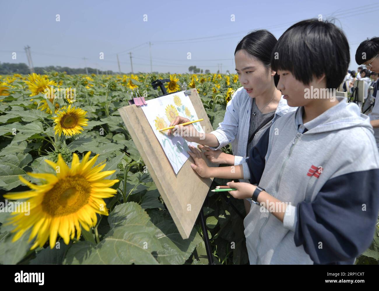 (180626) -- NANGONG, 26. Juni 2018 -- Studenten besuchen eine Outdoor-Zeichnungsaktivität auf einem Sonnenblumenfeld im Dorf Nandu in Nangong, nordchinesische Provinz Hebei, 26. Juni 2018. In den letzten Jahren haben die Behörden in Nangong Anstrengungen unternommen, um eine Wirtschaft aufzubauen, die den Tourismus mit der landwirtschaftlichen Industrie verbindet. ) (lmm) CHINA-HEBEI-NANGONG-RURAL ECONOMY-TOURISM (CN) ZhuxXudong PUBLICATIONxNOTxINxCHN Stockfoto