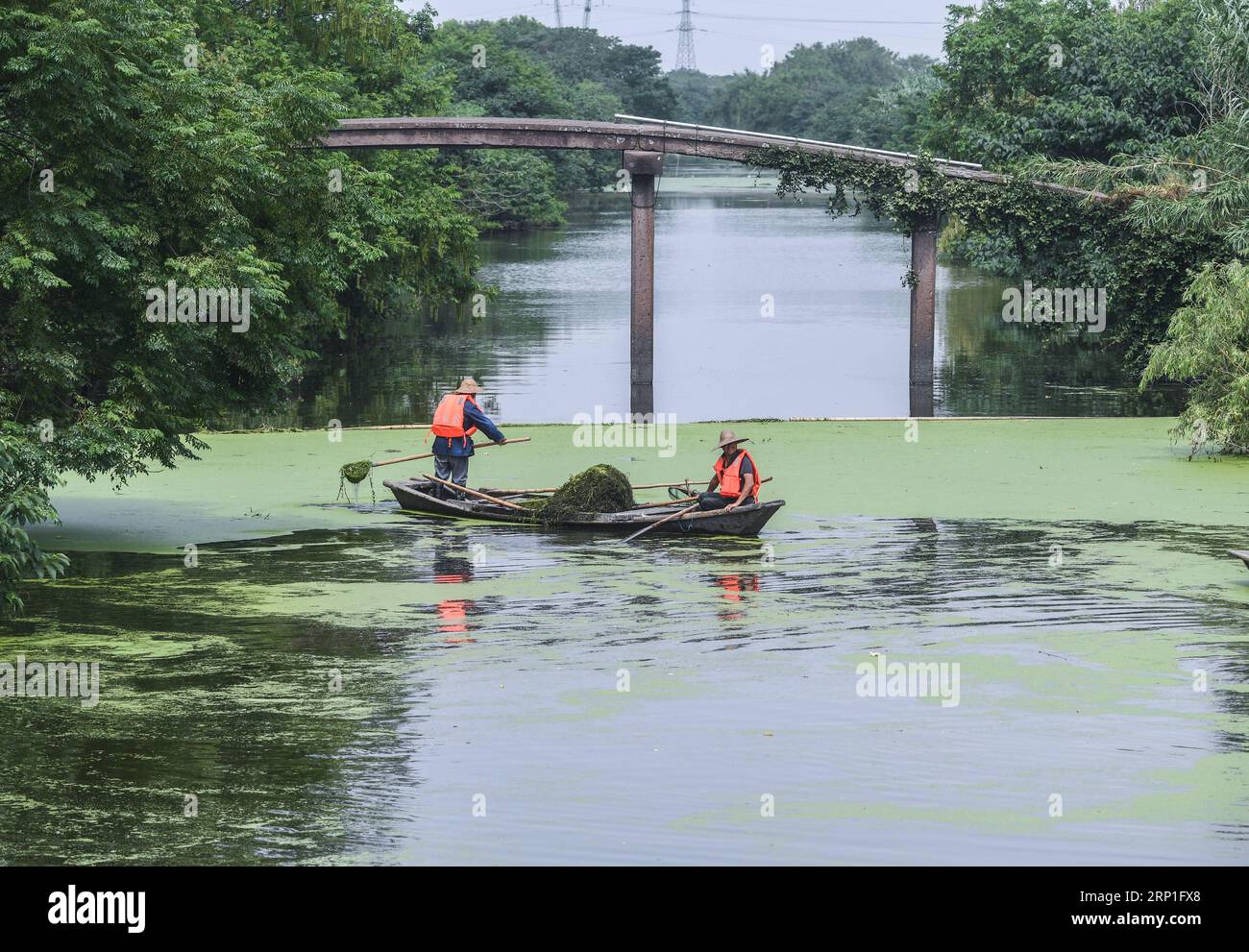 (180704) -- HUZHOU, 4. Juli 2018 -- Arbeiter säubern Entenkraut auf einem Fluss in Doling Stadt Huzhou, Ostchinesische Provinz Zhejiang, 3. Juli 2018. Die Stadt hat vor kurzem ein Projekt zur Reinigung von Flüssen gestartet, um im Sommer sauberes Wasser und einen reibungslosen Lauf der ländlichen Flüsse zu gewährleisten.) (Sxk) CHINA-ZHEJIANG-HUZHOU-RURAL ENVIRONMENT (CN) XuxYu PUBLICATIONxNOTxINxCHN Stockfoto