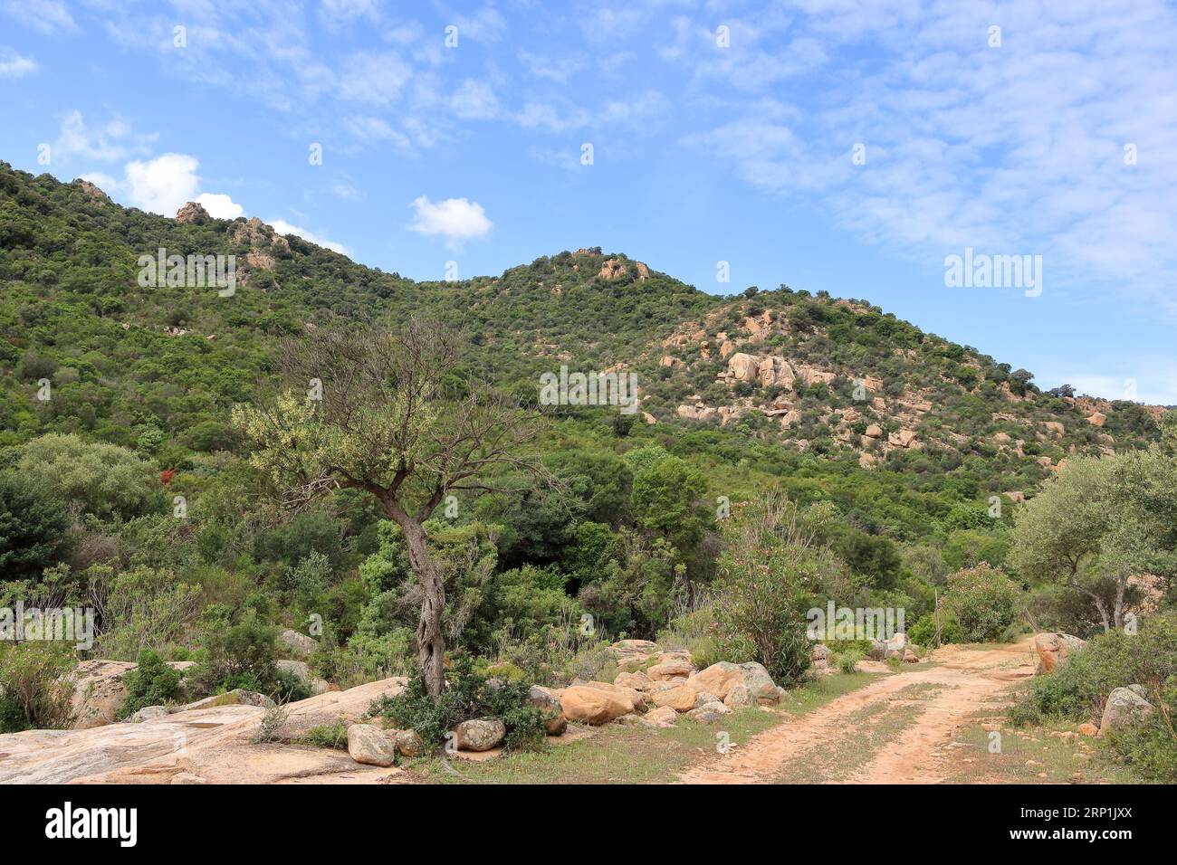 Das bergige Wandergebiet rund um cardedu auf sardinien Stockfoto