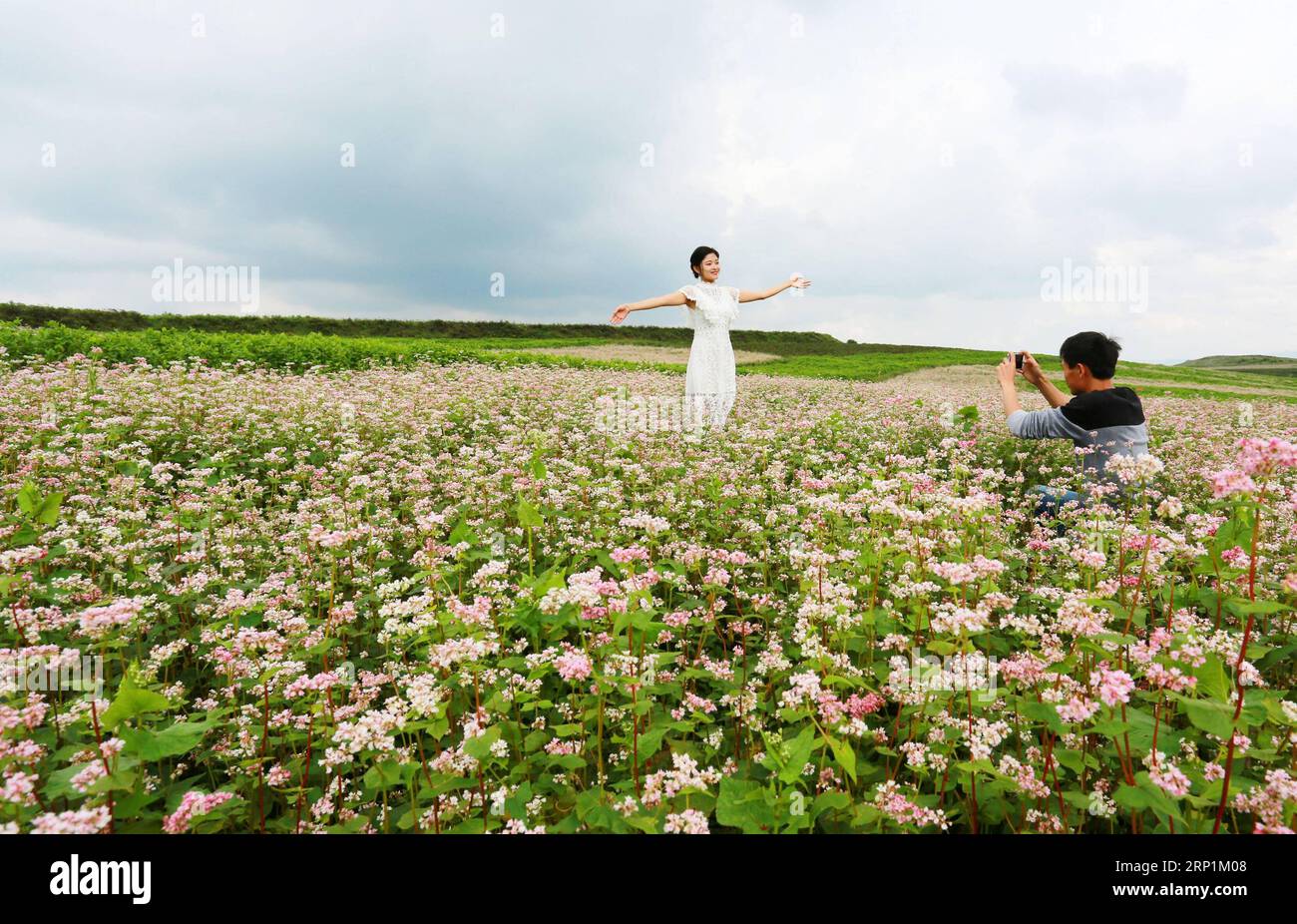 (180713) -- BIJIE, 13. Juli 2018 (Xinhua) -- Ein Tourist posiert für Fotos in einem Buchweizenfeld im Weining County, südwestchinesische Provinz Guizhou, 12. Juli 2018. Die Landschaft mit Buchweizenblüten zog viele Besucher an. (Xinhua/He Huan)(gxn) CHINA-GUIZHOU-BIJIE-BUCHWEIZEN-LANDSCHAFT(CN) PUBLICATIONxNOTxINxCHN Stockfoto