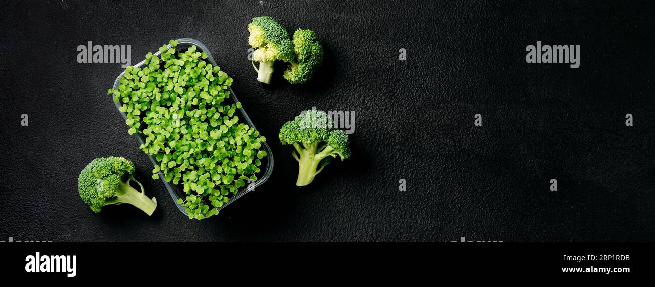Superfood Brokkoli-Sprossen und Kohl reich an Sulforaphan und Antioxidantien - eine Phytochemikalie mit Anti-Krebs- und Anti-Entzündungswirkung Stockfoto