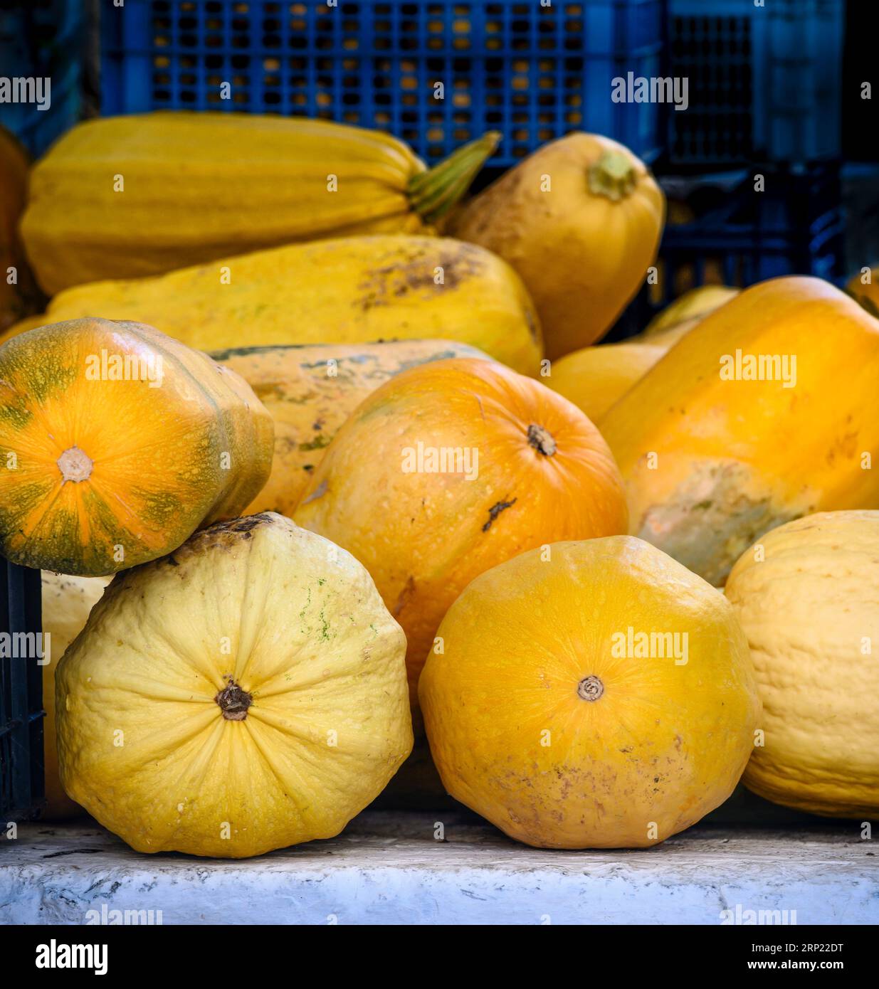 Eine Vielzahl von gelben Kürbissen zum Verkauf an einem Marktstand in Arcadia, Peloponnes, Griechenland. Stockfoto