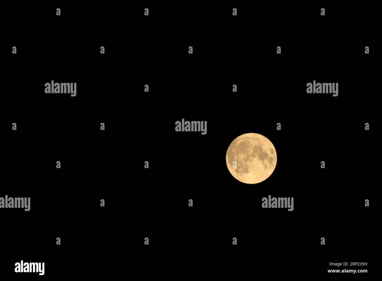 Vollmond, Orange. Der superblaue Mond vom 30. Bis 31. August wurde weltweit weit verbreitet fotografiert. In Südengland war ich durch meine Lage in einer bebauten Gegend eingeschränkt, auf den Bildern, die ich machen konnte. Der Mond war an meinem Standort erst nach ca. 2200 Stunden am 30. August zu sehen. Um 0100 Stunden am 31. Verdunkelte sich der Himmel und endete damit einen frustrierenden Abend, da die optimale Betrachtungszeit des Mondes an der Südküste Englands 0235 Stunden betrug. Der nächste Mond wird 2037 sein. Stockfoto