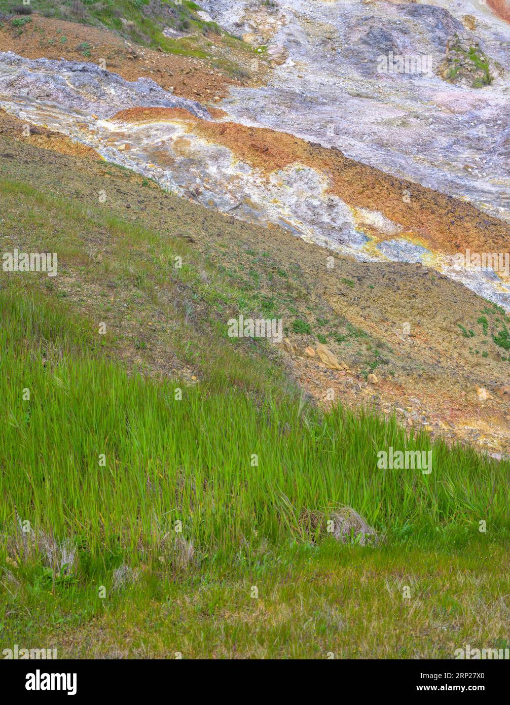 Hellgrünes Gras im Gegensatz zu den bunten Schutthaufen, Biancane Geothermal Park, Monterotondo Marittimo, Provinz Grosseto, Italien Stockfoto