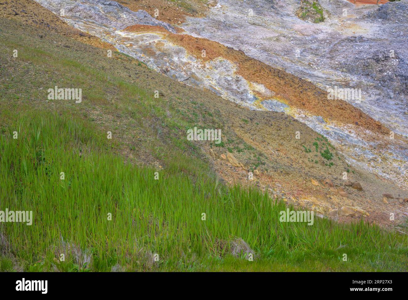Hellgrünes Gras im Gegensatz zu den bunten Schutthaufen, Biancane Geothermal Park, Monterotondo Marittimo, Provinz Grosseto, Italien Stockfoto