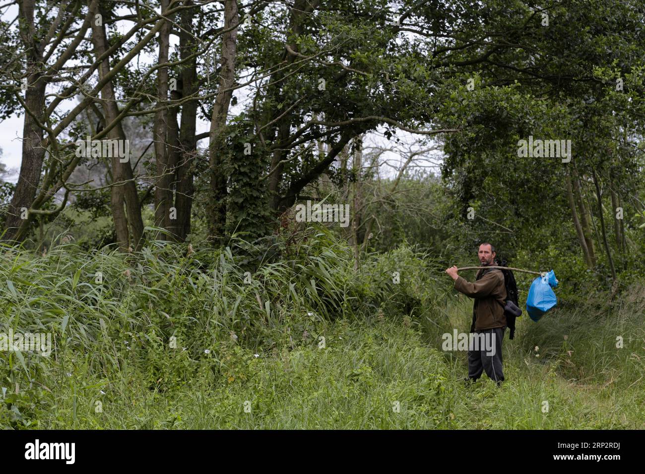 Man Removing Environmental Waste, Peene Valley Landscape Nature Park, Mecklenburg-Vorpommern, Deutschland Stockfoto