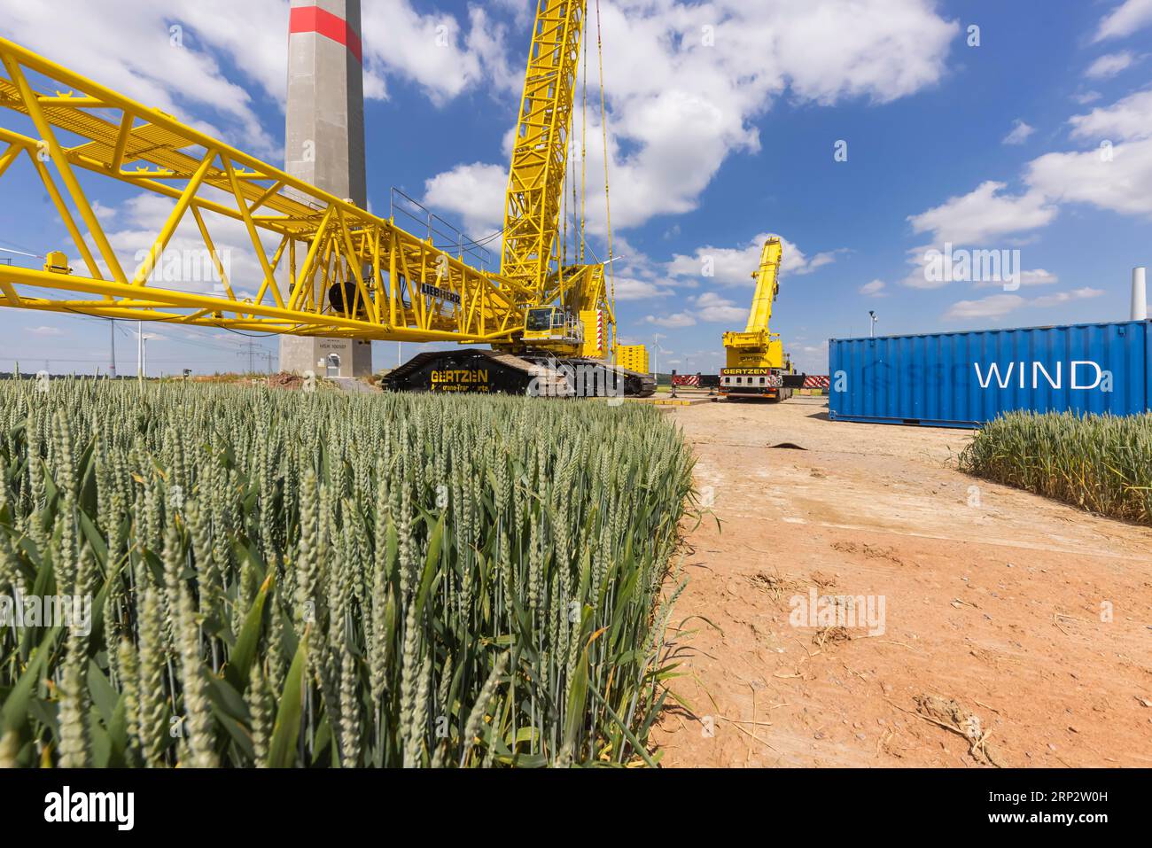 Windpark Sintfeld, spezieller Liebherr-Kran vor neuer Windkante, Hochplateau zwischen Bad Wuennenberg und dem Marsberger Landkreis Meerhof, Standort von Stockfoto