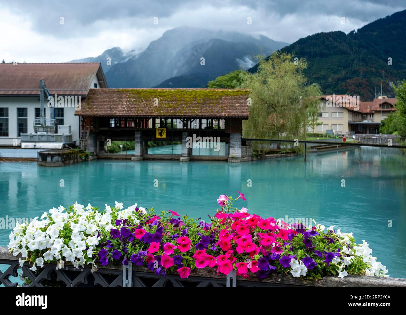 Fluss Aare, Altstadt von Unterseen, Interlaken, Kanton Bern, Schweiz. Stockfoto