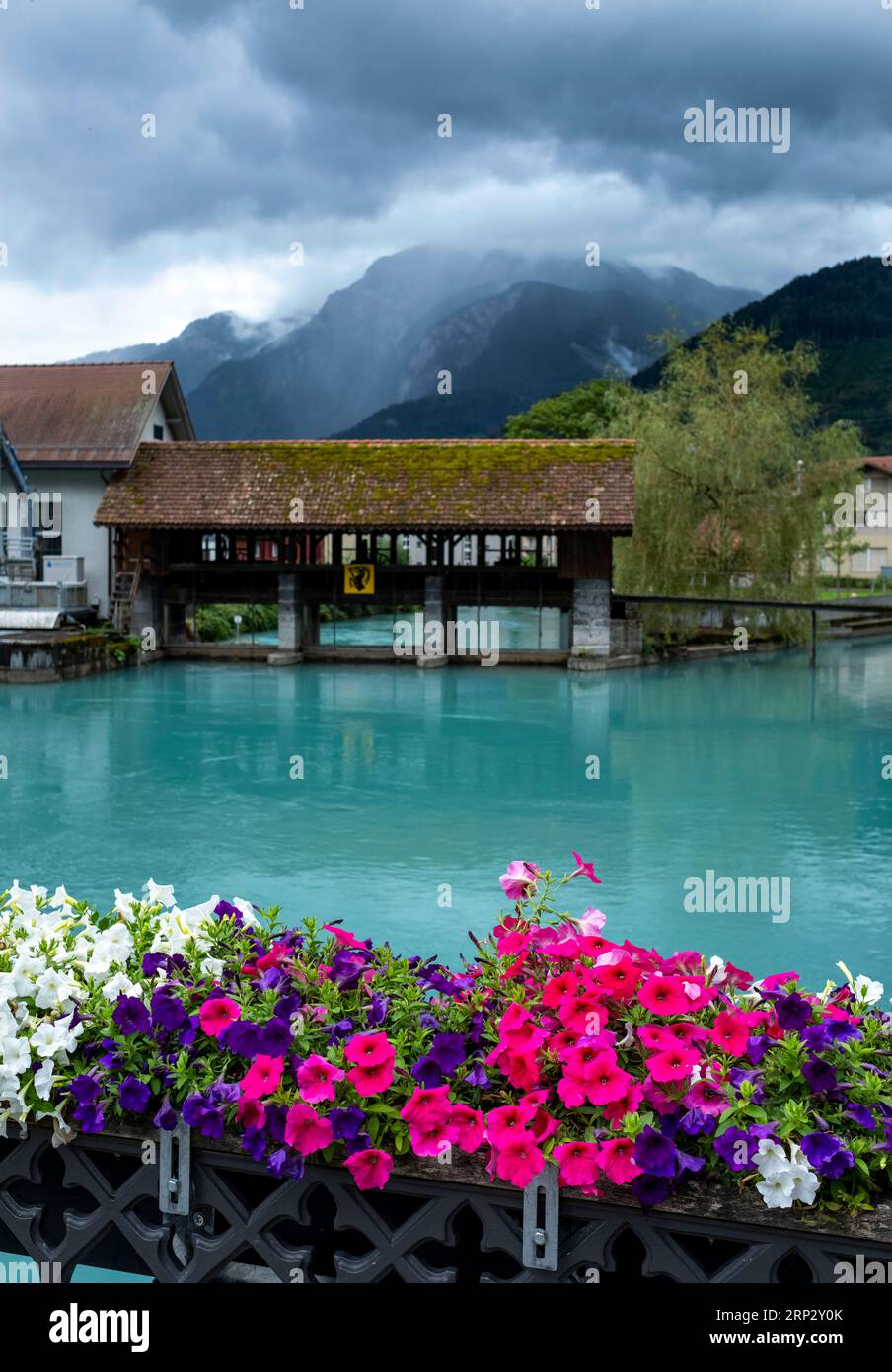 Fluss Aare, Altstadt von Unterseen, Interlaken, Kanton Bern, Schweiz. Stockfoto
