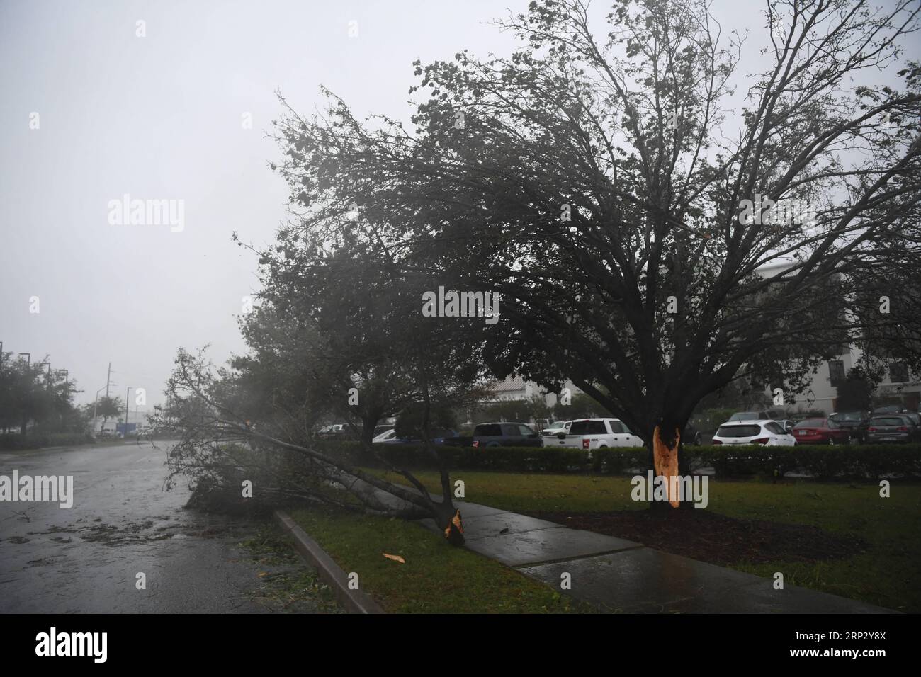 (180914) -- WILMINGTON, 14. September 2018 -- Ein Baum wird bei starkem Sturm gebrochen, als Hurrikan Florence am 14. September 2018 in Wilmington, North Carolina, USA, an Land kommt. Der Hurrikan Florence am Freitagmorgen landete an der Küste von North Carolina als Sturm der Kategorie 1, mit Stürmen und Regenfällen. (lrz) U.S.-WILMINGTON-HURRICANE FLORENCE LiuxJie PUBLICATIONxNOTxINxCHN Stockfoto