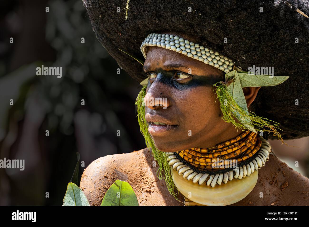 Tänzerinnen in Kriegsmalerei, Singen, Festival, Mount Hagen, Papua-Neuguinea Stockfoto