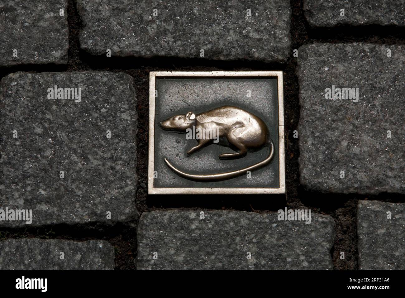 Rattenstein, Rundwanderung durch die Altstadt nach der Rattenfängerlegende, Deutsche Märchenroute, Hameln, Niedersachsen, Deutschland Stockfoto