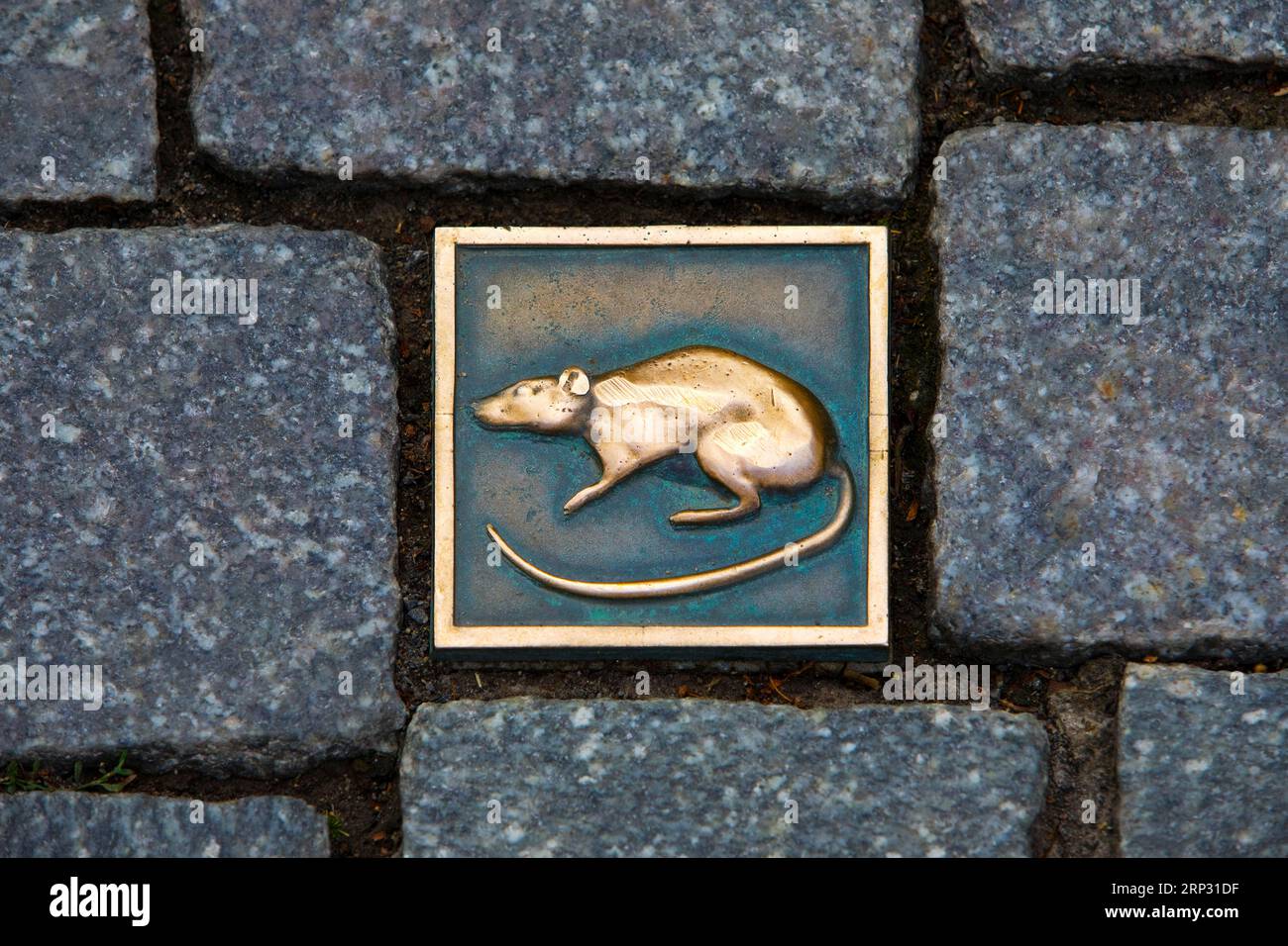 Rattenstein, Rundwanderung durch die Altstadt nach der Rattenfängerlegende, Deutsche Märchenroute, Hameln, Niedersachsen, Deutschland Stockfoto