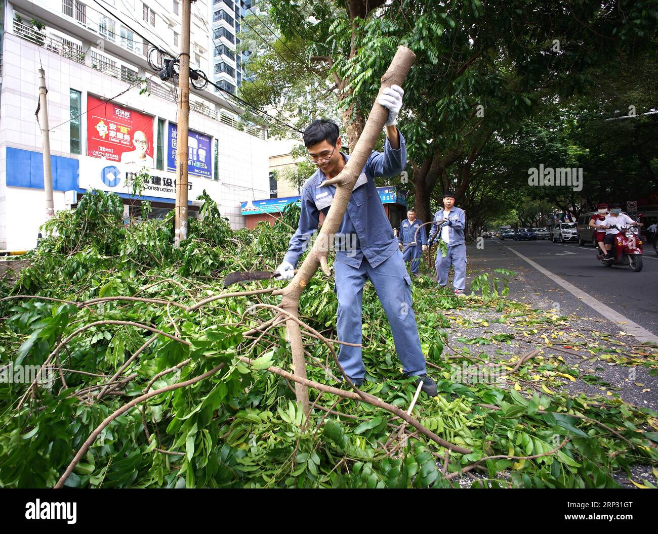 (180916) -- NANNING, 16. September 2018 -- Ein Arbeiter entfernt gebrochene Äste von der Straße in Nanning, Südchinas autonome Region Guangxi Zhuang, 16. September 2018. Die örtliche Wetterbehörde gab am Sonntag eine rote Warnung vor Taifun aus. )(mcg) CHINA-GUANGXI-TYPHOON-RED WARNING (CN) ZhouxHua PUBLICATIONxNOTxINxCHN Stockfoto