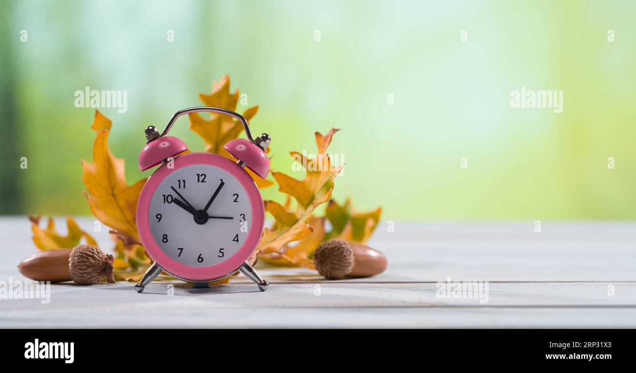 Herbstzeit. Herbstblätter und klassische rosa Uhr auf einem weißen Holztisch. Das Konzept der Zeitfüllung. Das Thema des Jahreszeitenwechsels. Stockfoto