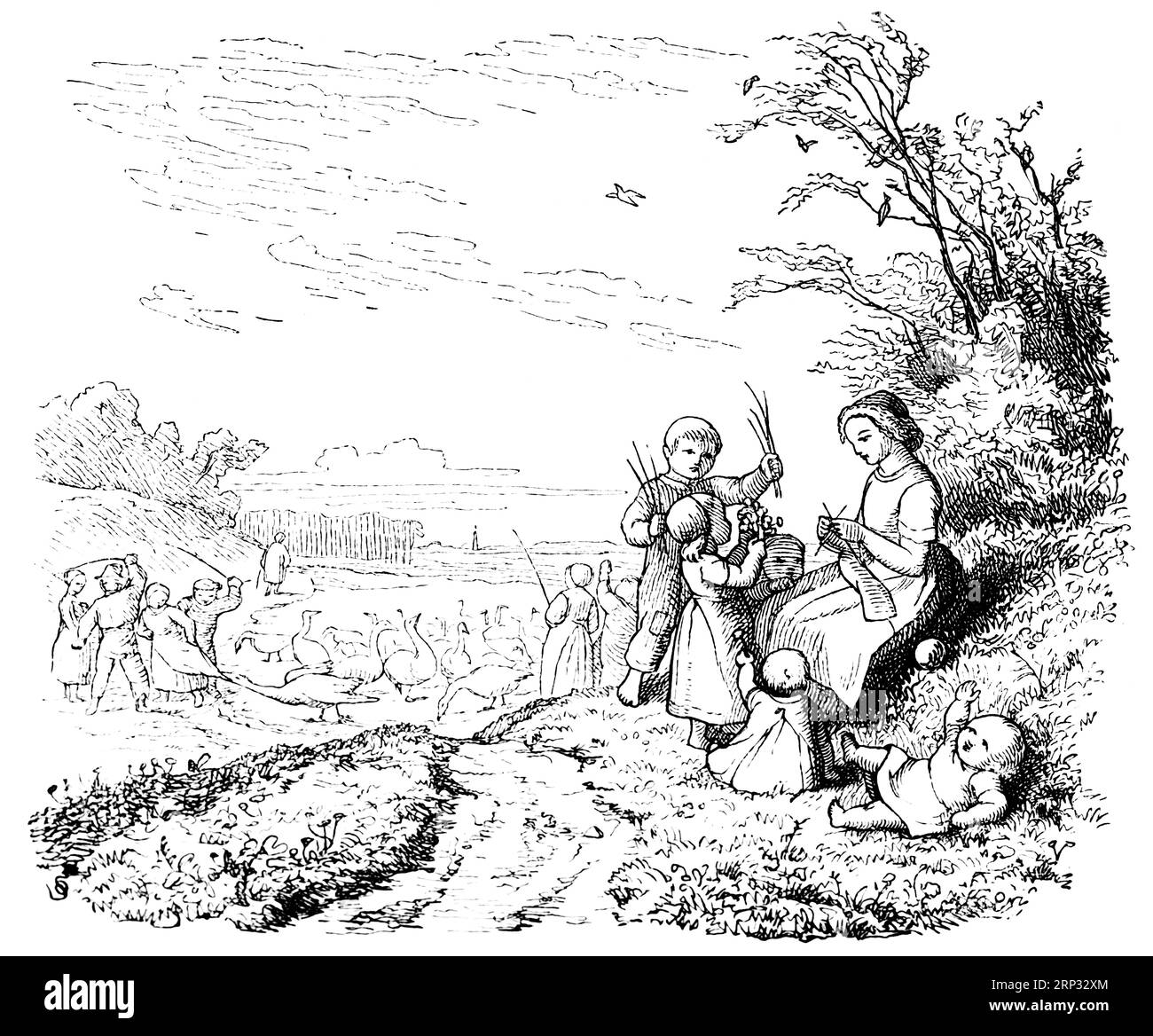 Fritz Reuter (1810) (1874) niederdeutsche Schriftstellerin und Dichterin, Hanne Nuete un de Luette Pudel, eine Vogel, und Menschengeschichte, Platt, Niederdeutsch, Niedrig Stockfoto