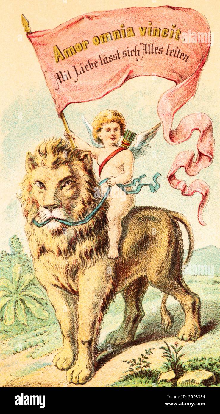 Worte der Weisheit und des Trostes aus dem Mund eines Dichters, Sprichwort, Leben, Weisheit, Trost, sagen, Text, Sprache Latein, Engel, Ritt, Löwe, zahm, Flagge Stockfoto