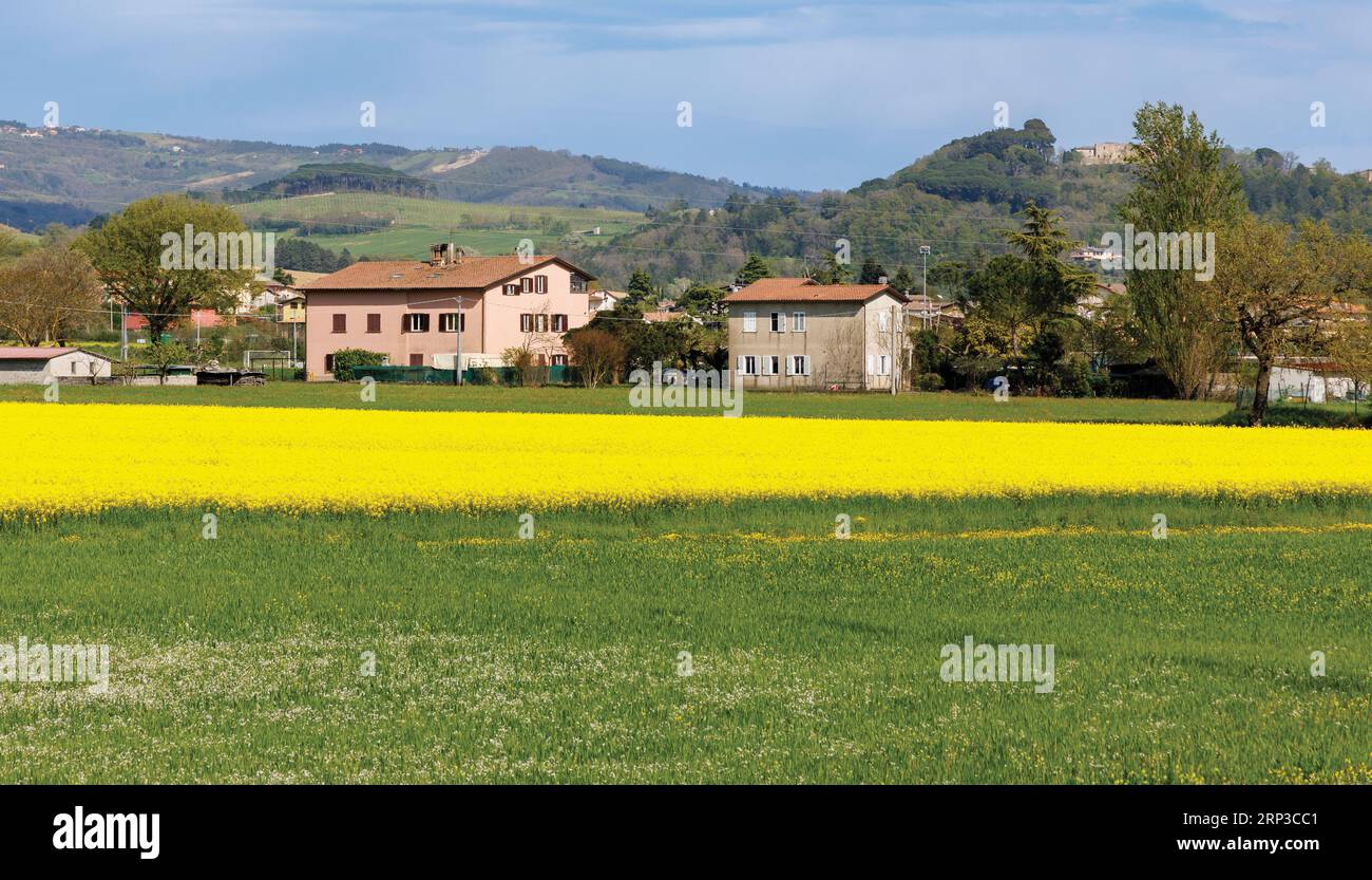 Umbrische Landschaft. Bauernhäuser in der Nähe von Perugia, Provinz Perugia, Italien. Rapsfeld im Vordergrund. Stockfoto