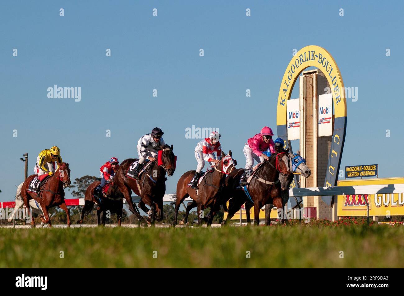 Pferderennen, Kalgoorlie Boulder Racing Club, Western Australia Stockfoto