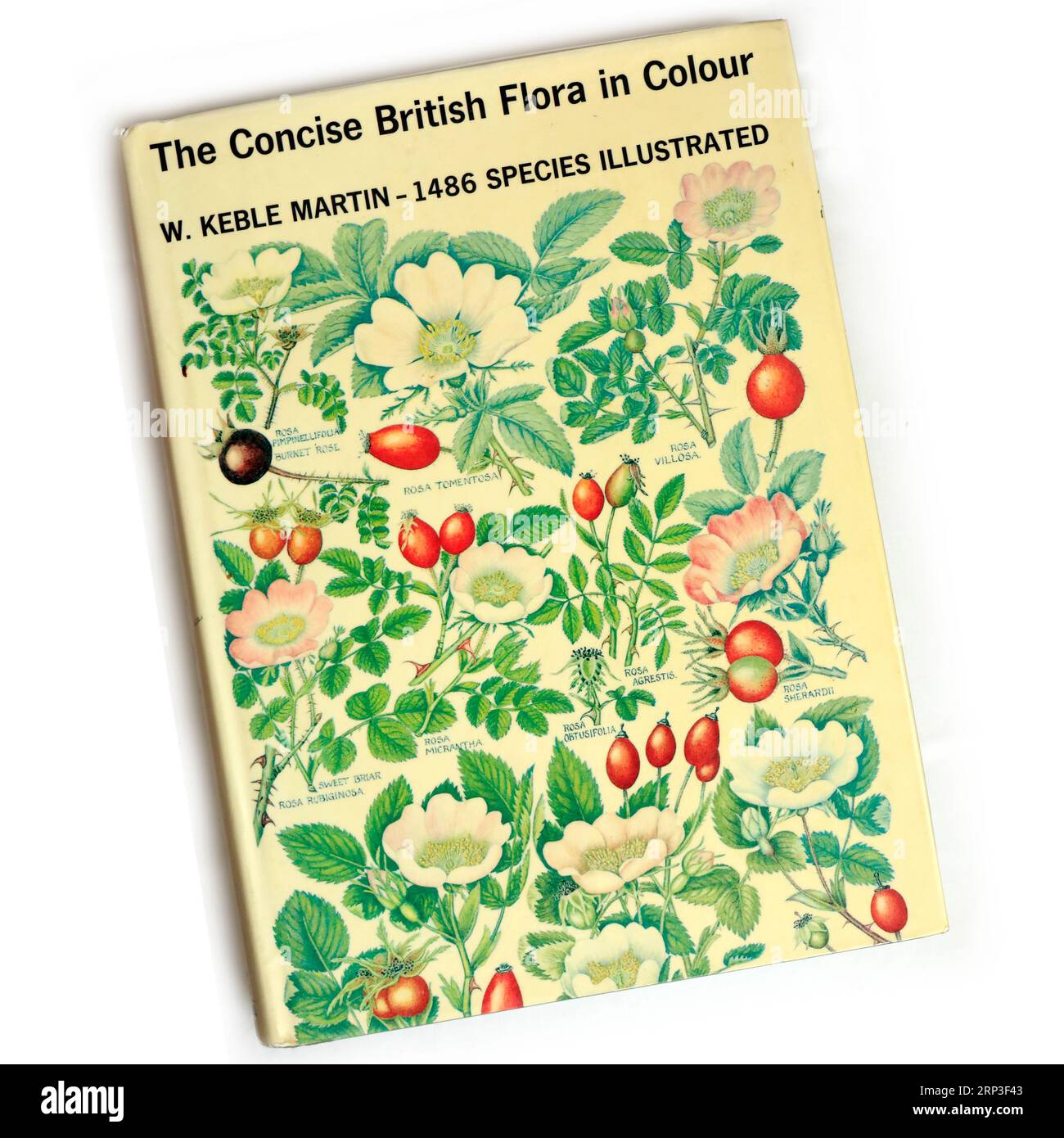 The Concise British Flora in Colour von W. Keble Martin. 1486 Species Illustrated Hardback Book Stockfoto