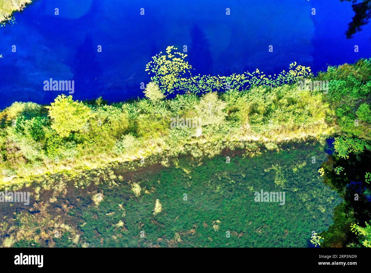 Abstrakt aussehende Luftaufnahme des bewachsenen Landstreifens zwischen tiefblauem Teich und klarem Teich mit Wasserpflanzen Stockfoto