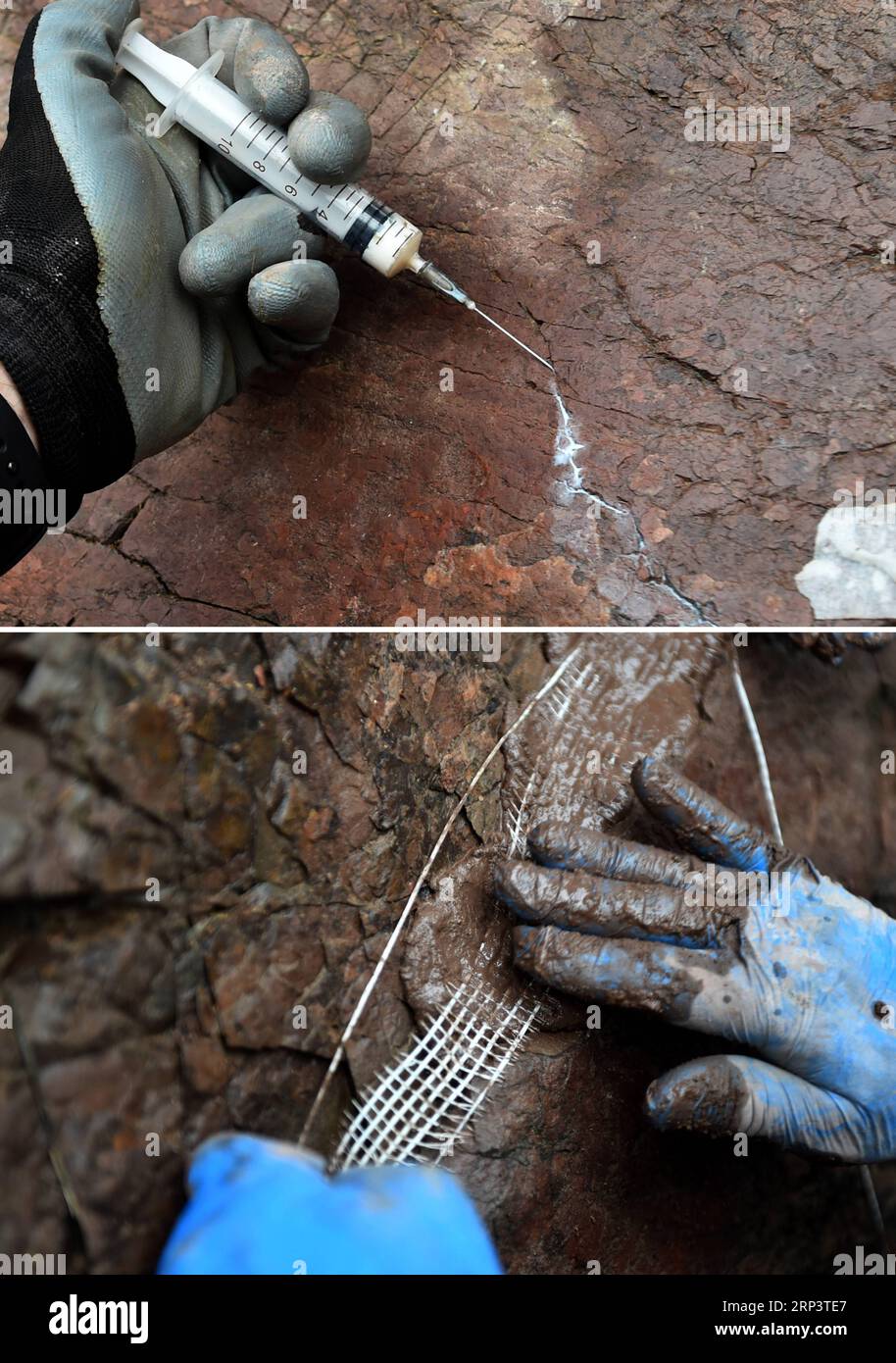 (181016) -- PEKING, 16. Oktober 2018 (Xinhua) -- kombinierte Fotos zeigen Experten, die während eines Projekts zur Erhaltung des Dinosaurier-Fußabdrucks im Yanqing Global Geopark im Bezirk Yanqing von Peking, der Hauptstadt Chinas, am 15. Oktober 2018 arbeiten. Experten aus China und Griechenland haben gemeinsame Arbeiten zur Erhaltung fossiler Dinosaurierspuren in Yangqing begonnen, um diese vor Wetterschäden zu schützen. Die Fußspuren werden vermutlich von Dinosauriern vor etwa 150 Millionen Jahren hinterlassen. (Xinhua/Luo Xiaoguang)(gxn) CHINA-BEIJING-YANQING-FOSSIL CONSERVATION (CN) PUBLICATIONxNOTxINxCHN Stockfoto