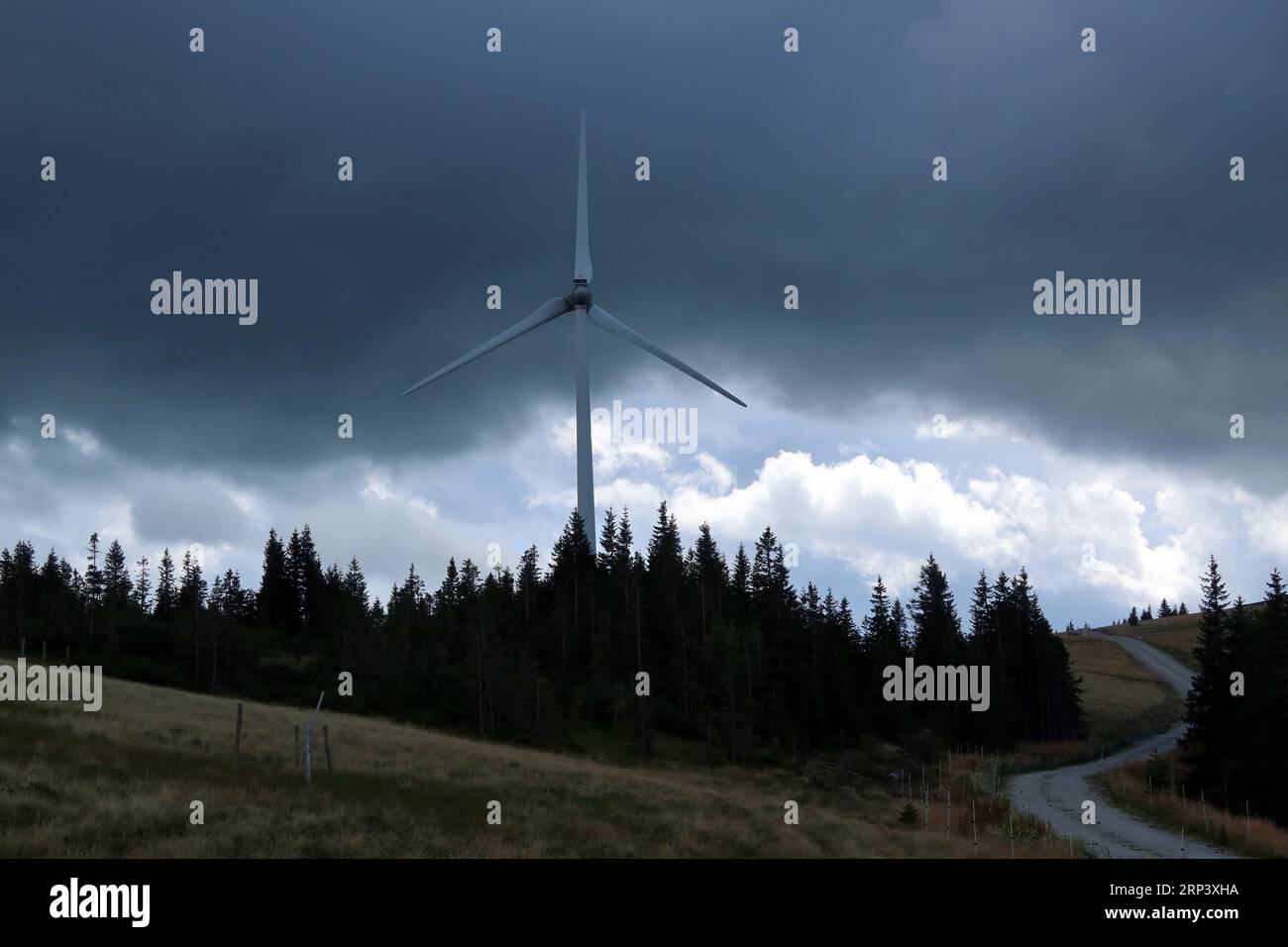 Einzelne Windturbine mit dunklen Wolken im Hintergrund und Kiefern im Vordergrund Stockfoto