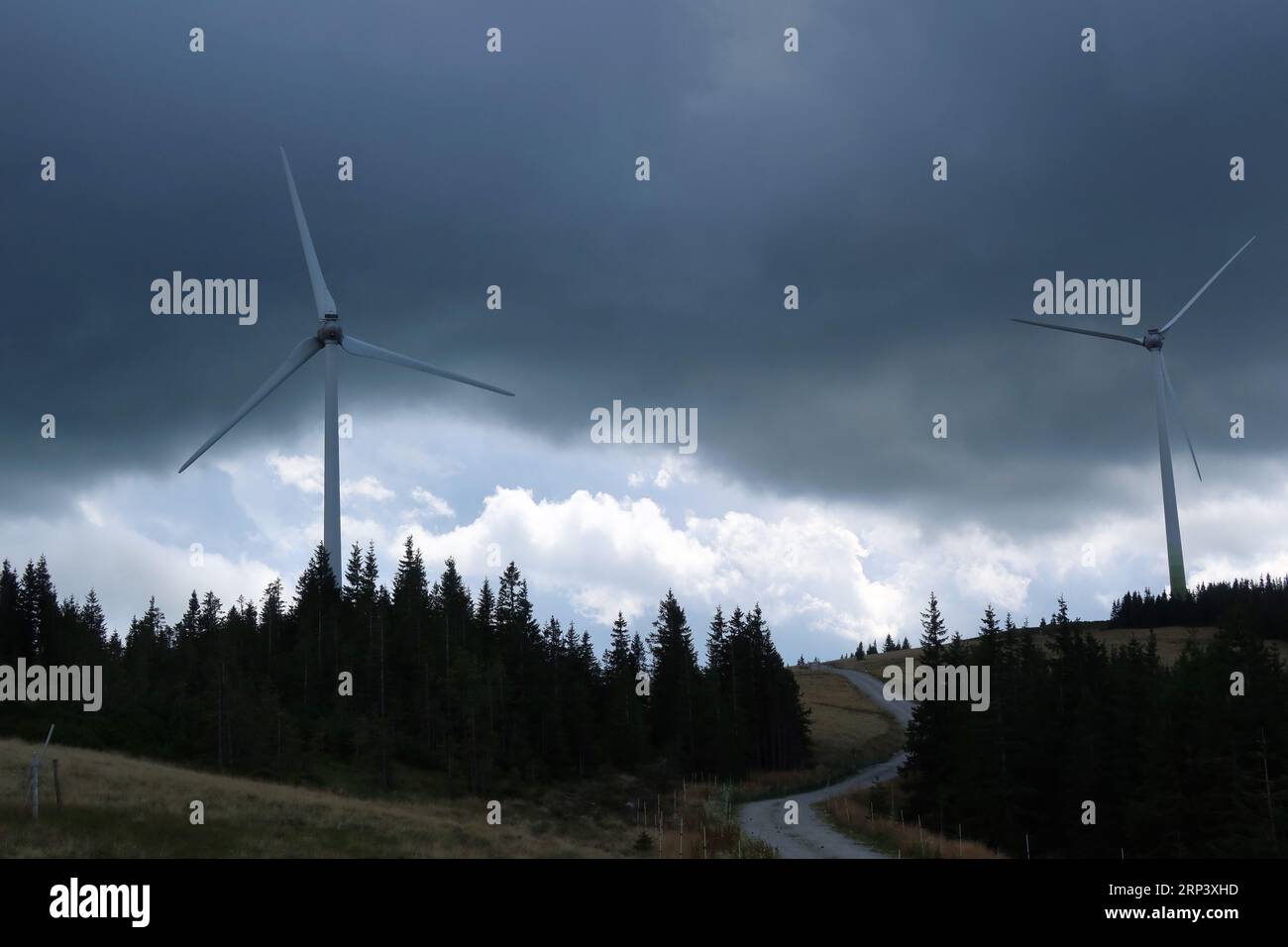 Zwei Windturbinen mit dunklen Wolken im Hintergrund und Kiefern im Vordergrund Stockfoto