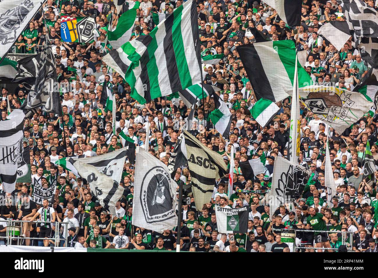 Sport, Fußball, Bundesliga, 2023/2024, Borussia Moenchengladbach vs. FC Bayern München 1-2, Stadion Borussia Park, Gladbach Fußballfans mit Vereinsfahnen haben Spaß und feiern ihr Team, DFL-VORSCHRIFTEN VERBIETEN JEDE VERWENDUNG VON FOTOS ALS BILDSEQUENZEN UND/ODER QUASI-VIDEO Stockfoto