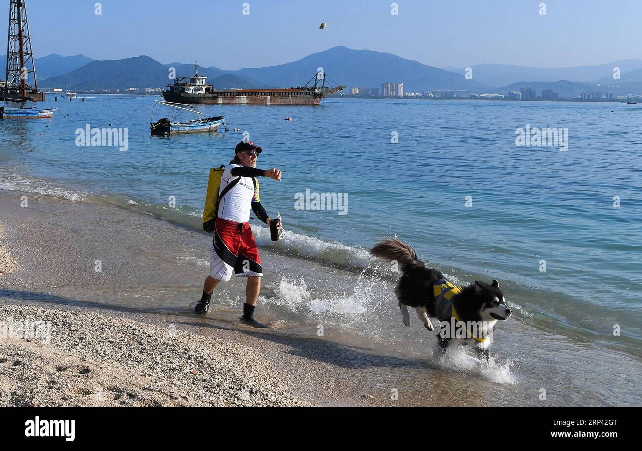 (181023) -- HAIKOU, 23. Oktober 2018 -- der Kanadier Craig Anderson interagiert mit seinem Hund auf der Westinsel in Sanya, Südchinesische Provinz Hainan, 20. September 2018. Anderson kam im Februar auf der West Island an, wo etwa 4.000 Menschen lebten. Die Einheimischen betrachteten Anderson als einen Schnitzer, als er zum ersten Mal ankam, als er fast jeden Tag am Strand umherwanderte und Treibholz, Plastikflaschen, zerbrochene Gläser und rostige Eisenstücke aufnahm. Im Laufe der Zeit erkannten die Einheimischen, dass Anderson ein Künstler ist, der sich dem Umweltschutz widmet. Er profitiert von recycelbarem und regnen Stockfoto