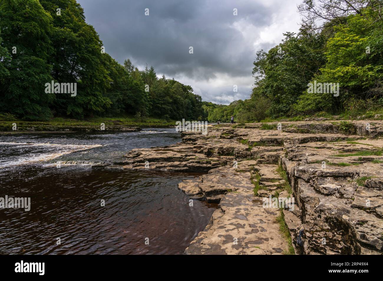 Aysgarth Falls in North Yorkshire, wo Robin Hood Film aufgenommen wurde Stockfoto